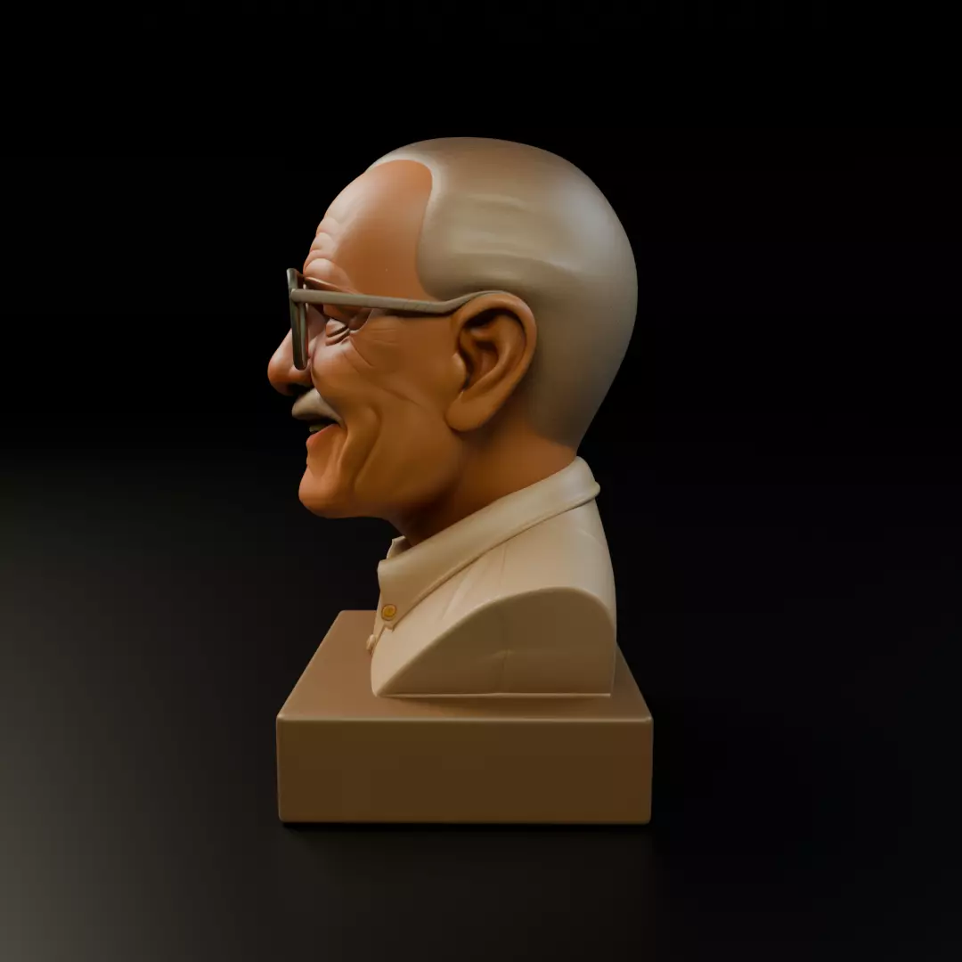 Stan Lee 3D print model_4