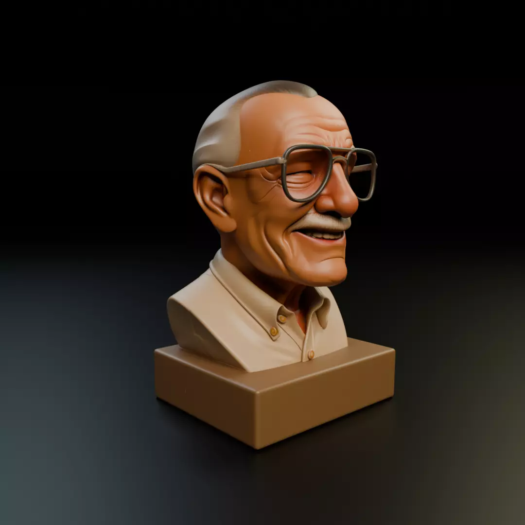 Stan Lee 3D print model_12