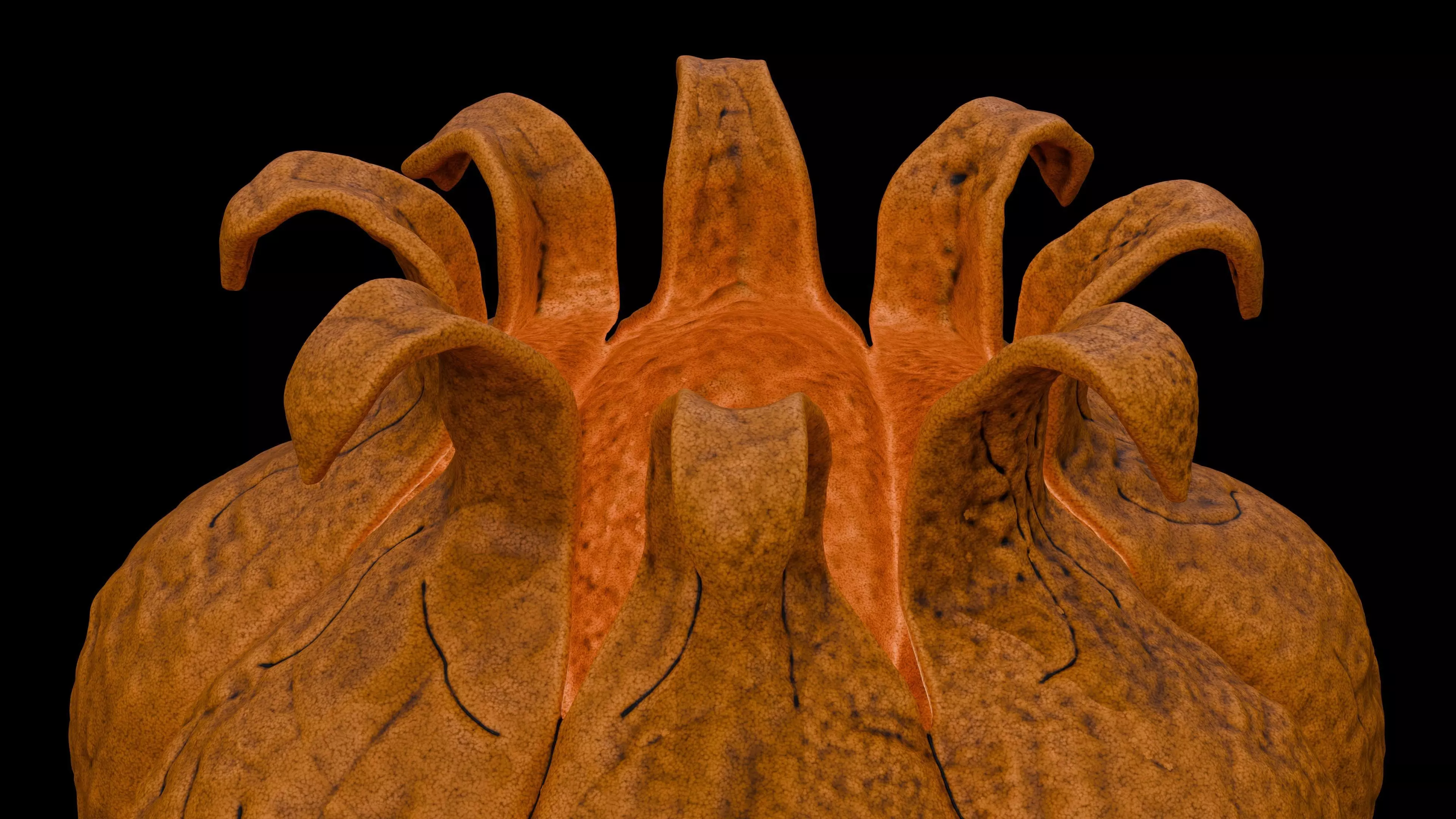 Pumpkin Crowned 3D print model_12