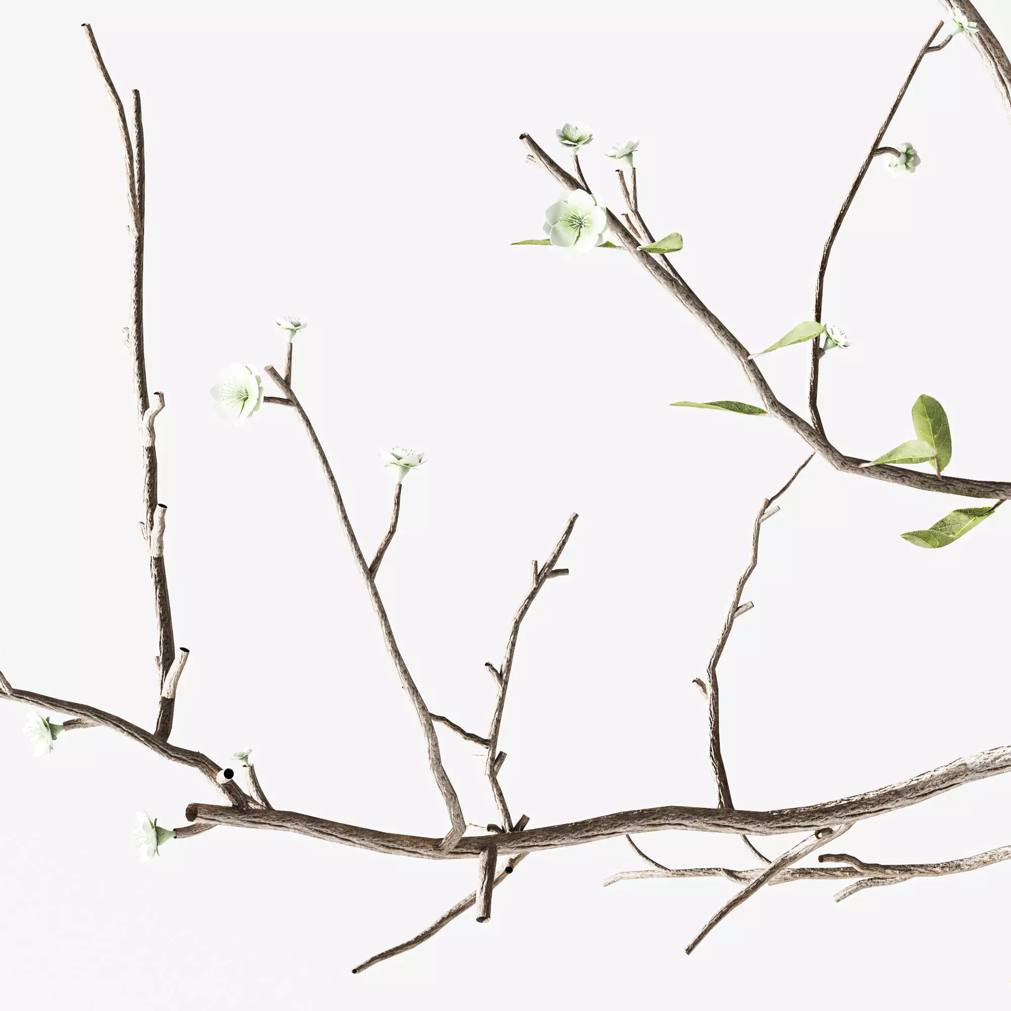 Bouquet39 3D model_4