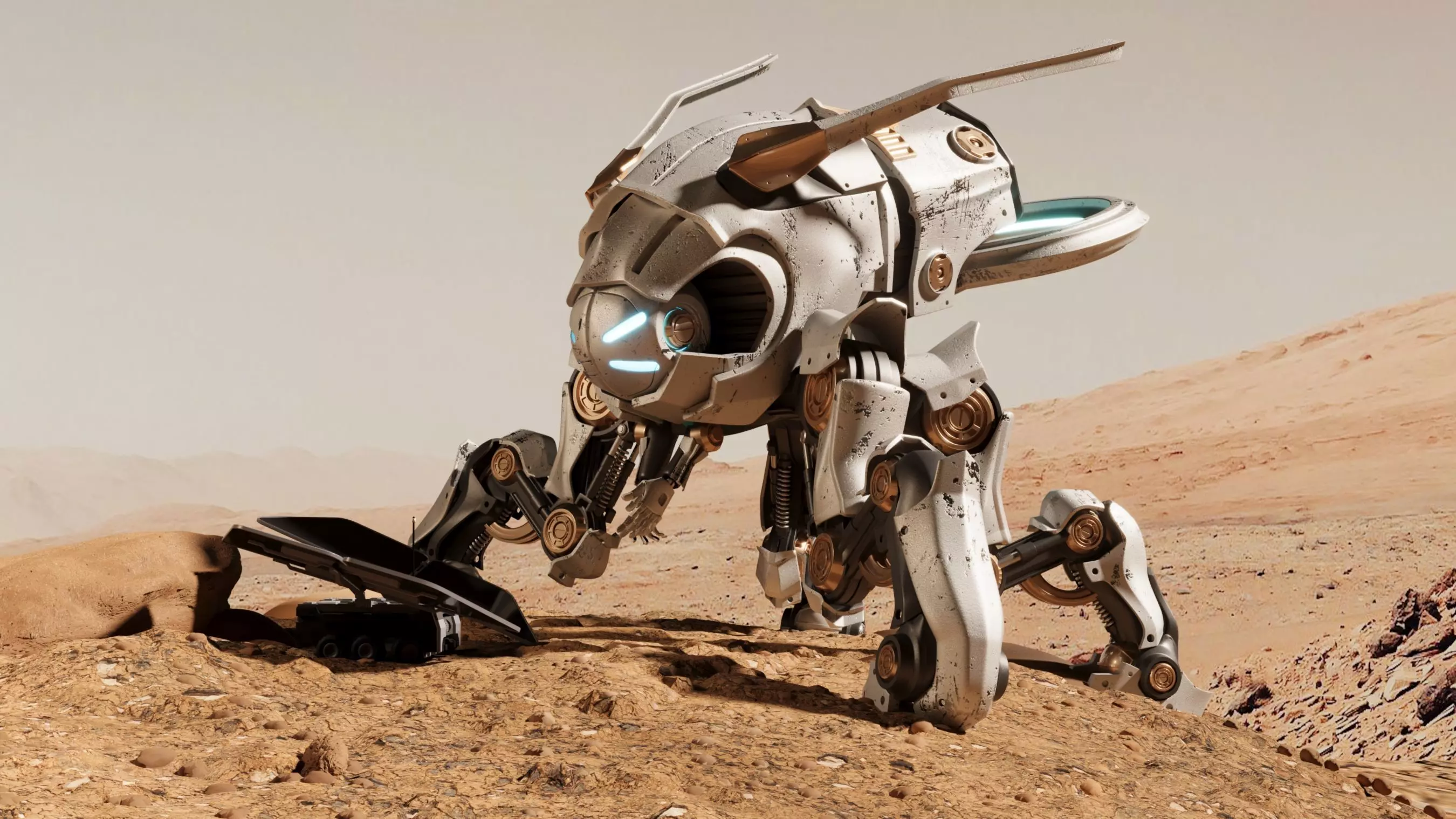 MARS EXPLORER UNIT 3D model_0