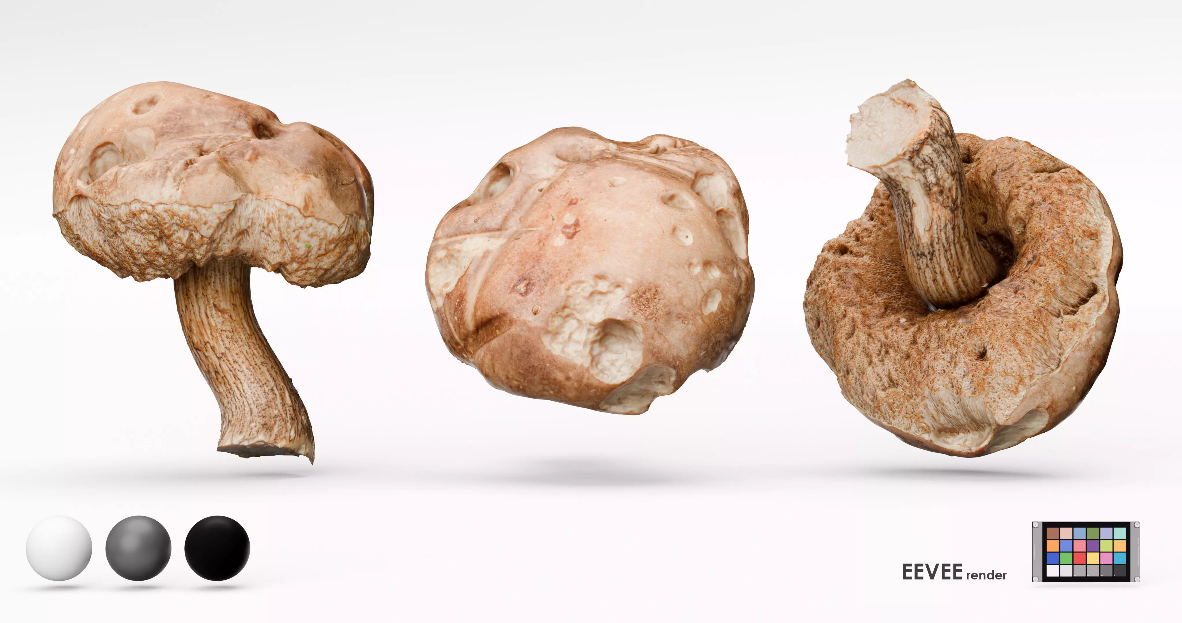 Leccinum Scabrum Bull Gray Mushroom Photoscan Hi Lo Poly model Low-poly 3D model_10