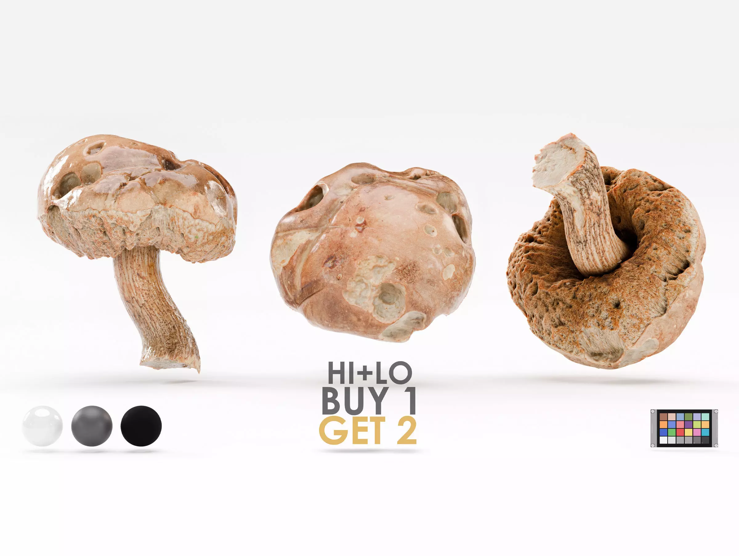 Leccinum Scabrum Bull Gray Mushroom Photoscan Hi Lo Poly model Low-poly 3D model_0