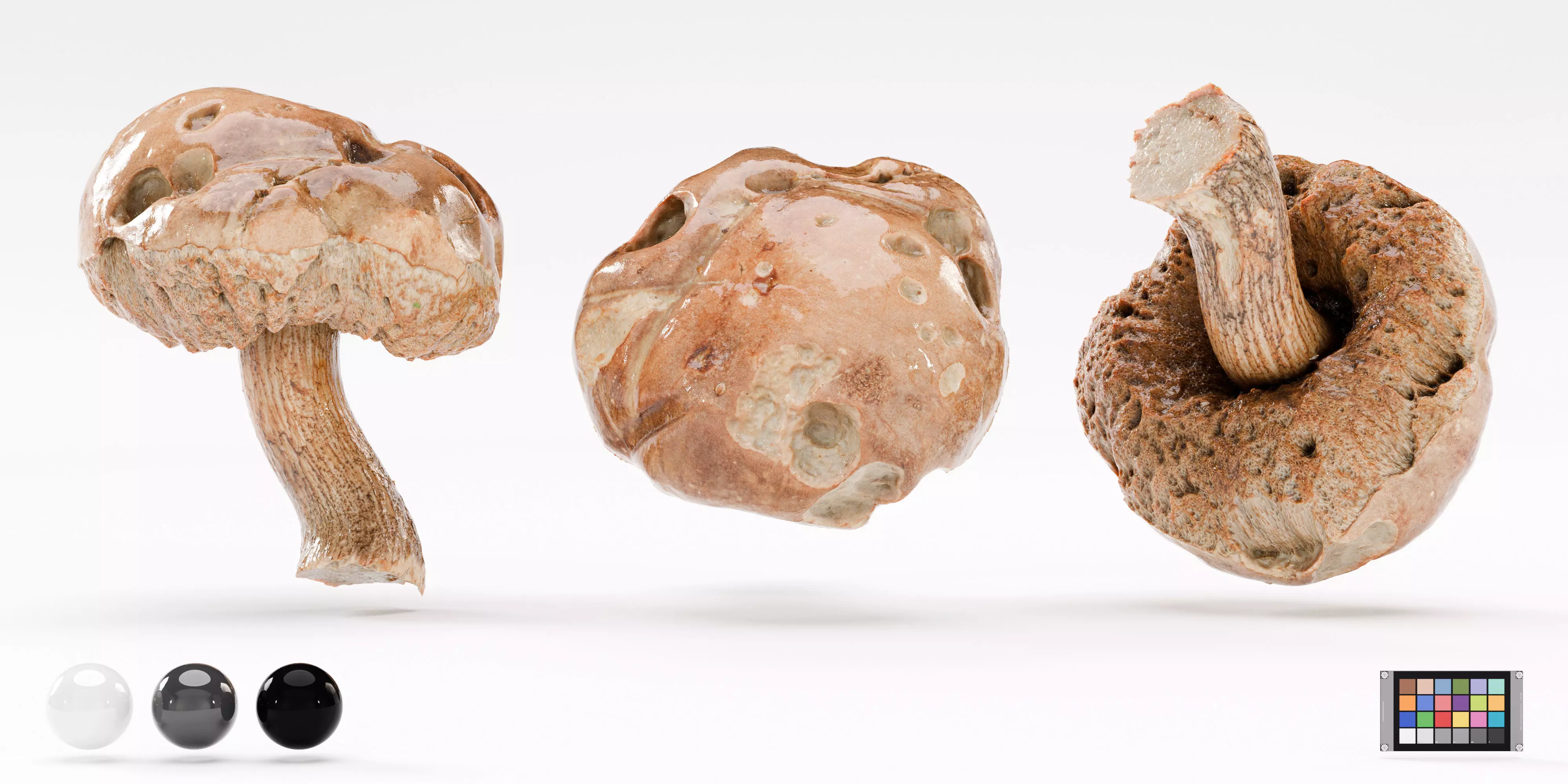 Leccinum Scabrum Bull Gray Mushroom Photoscan Hi Lo Poly model Low-poly 3D model_4