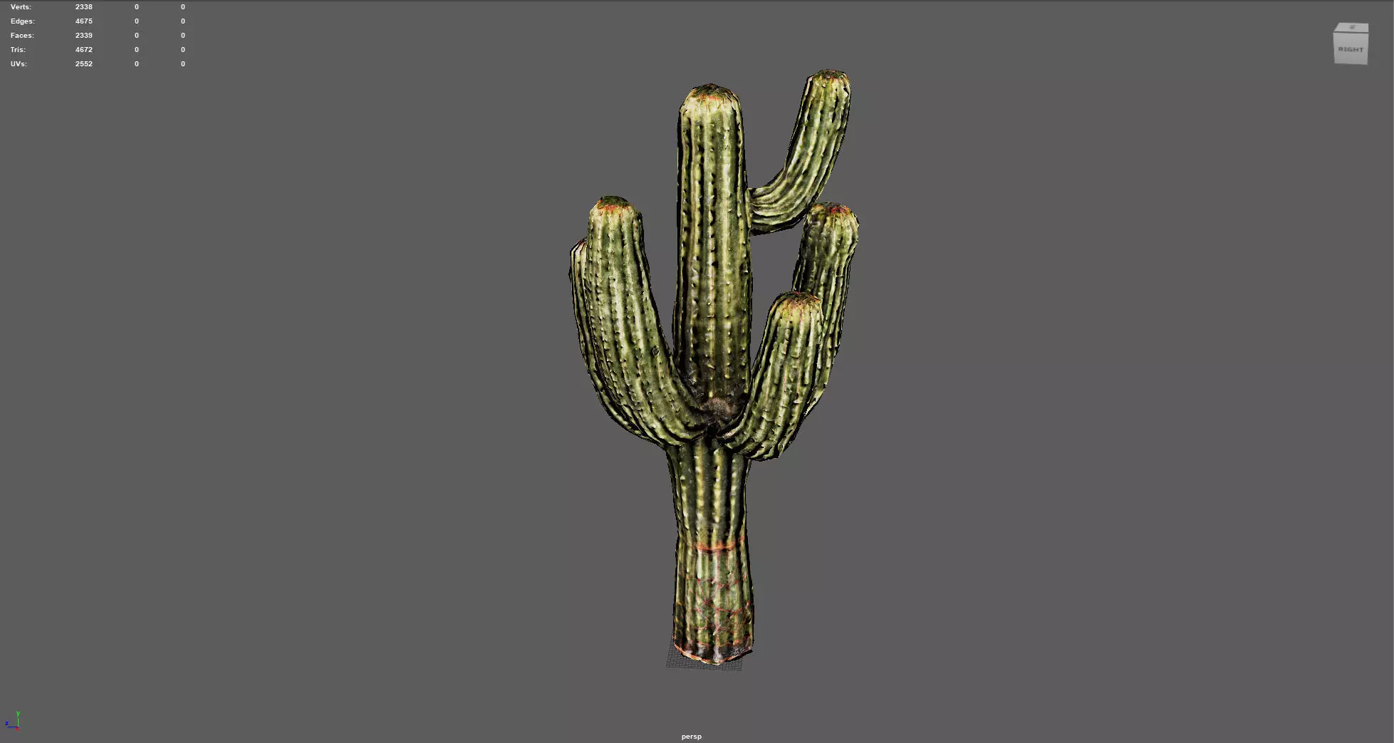 Desert Sentinel  Realistic Low Poly Cactus 4K PBR Textures  Low-poly 3D model_6