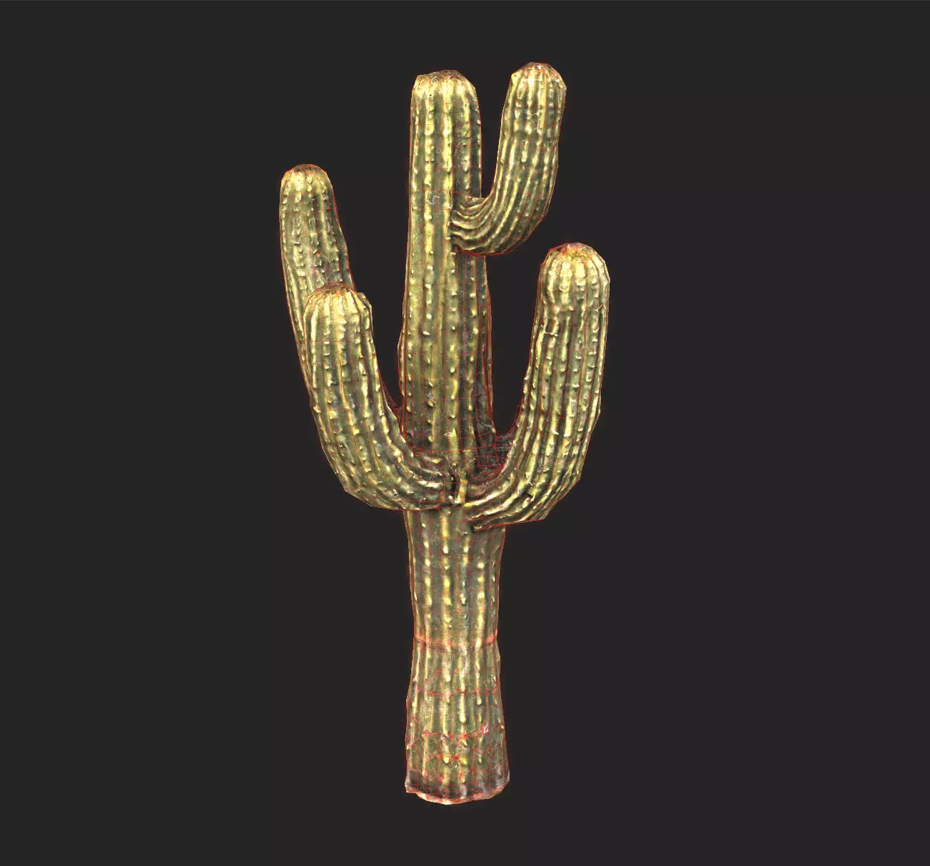 Desert Sentinel  Realistic Low Poly Cactus 4K PBR Textures  Low-poly 3D model_13