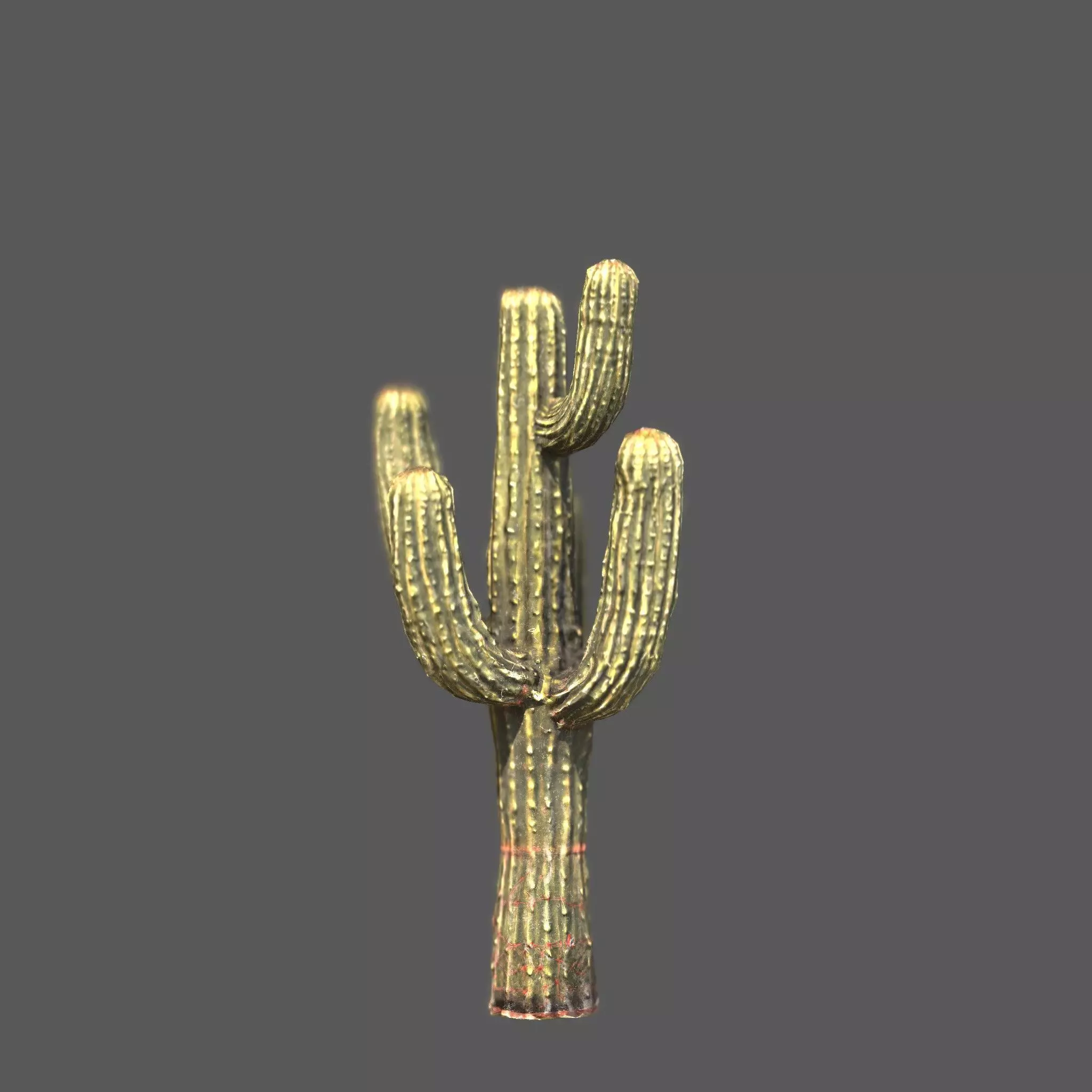 Desert Sentinel  Realistic Low Poly Cactus 4K PBR Textures  Low-poly 3D model_5