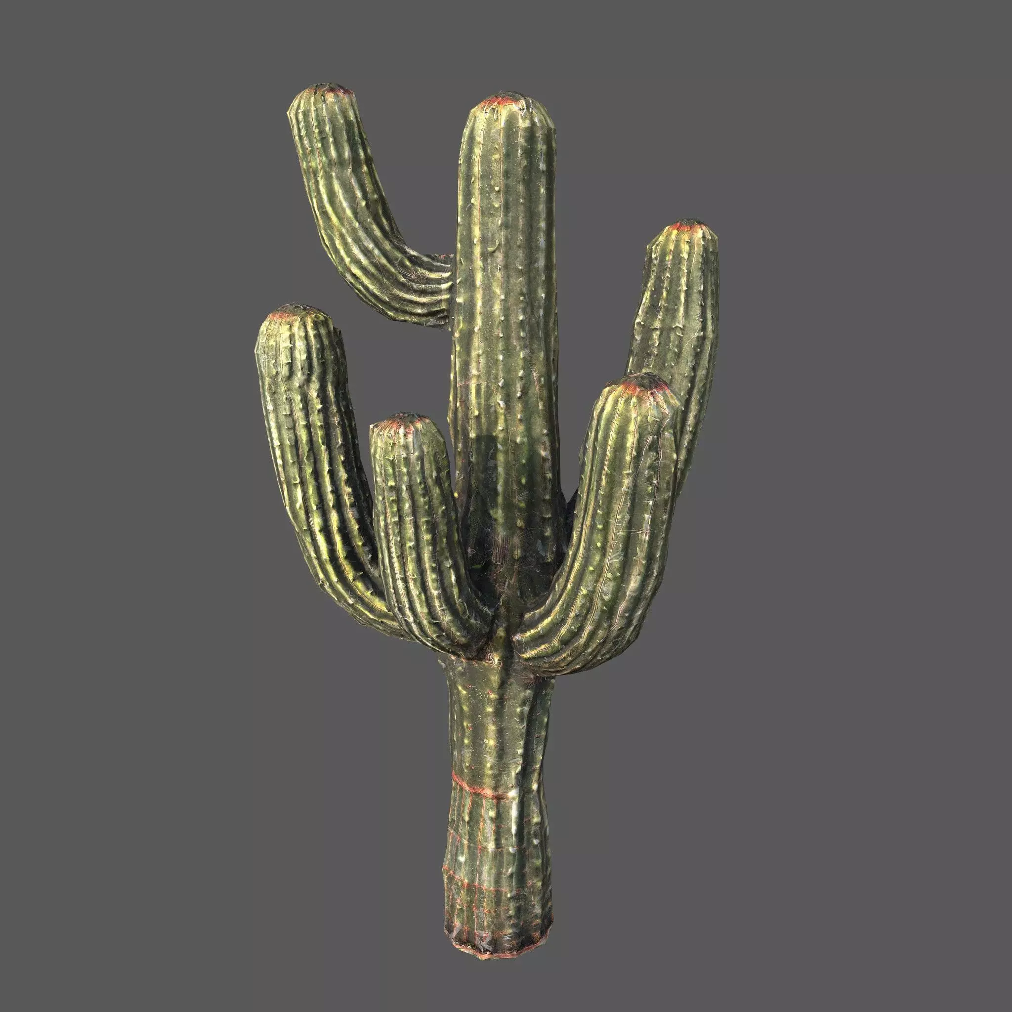 Desert Sentinel  Realistic Low Poly Cactus 4K PBR Textures  Low-poly 3D model_0
