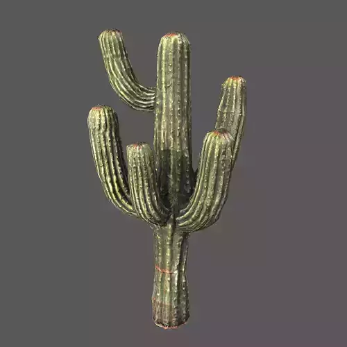 Desert Sentinel  Realistic Low Poly Cactus 4K PBR Textures  Low-poly 3D model Desert Sentinel  Realistic Low Poly Cactus 4K PBR Textures  Low-poly 3D model