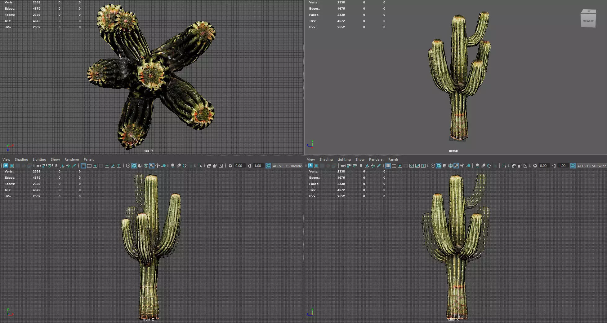 Desert Sentinel  Realistic Low Poly Cactus 4K PBR Textures  Low-poly 3D model_9
