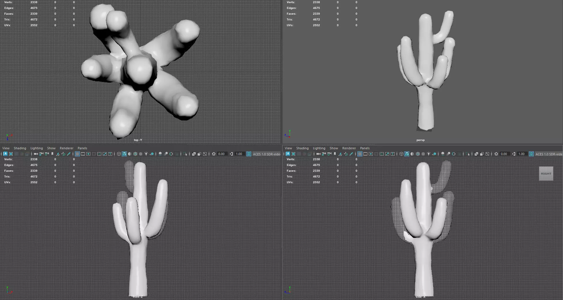 Desert Sentinel  Realistic Low Poly Cactus 4K PBR Textures  Low-poly 3D model_10