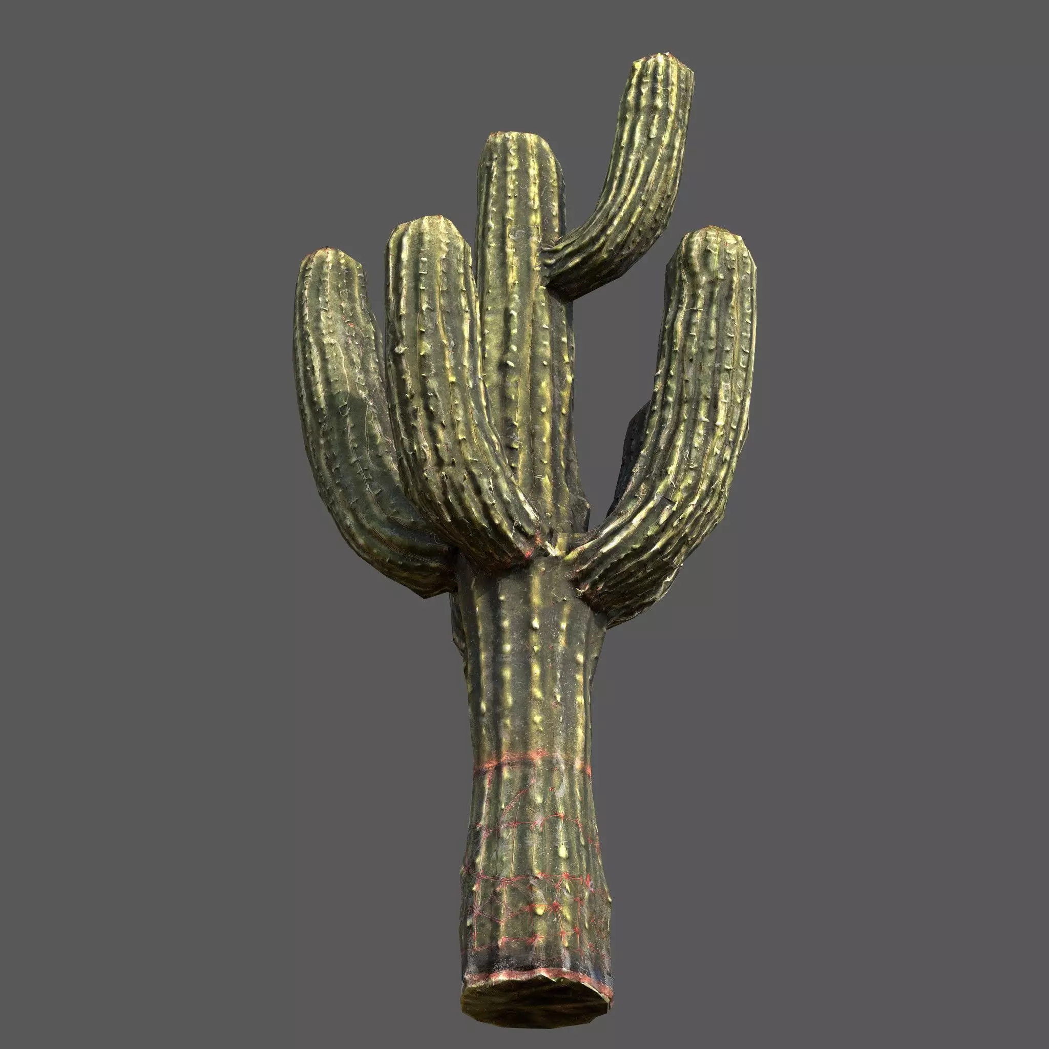 Desert Sentinel  Realistic Low Poly Cactus 4K PBR Textures  Low-poly 3D model_3