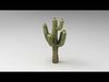 Desert Sentinel  Realistic Low Poly Cactus 4K PBR Textures  Low-poly 3D model_1