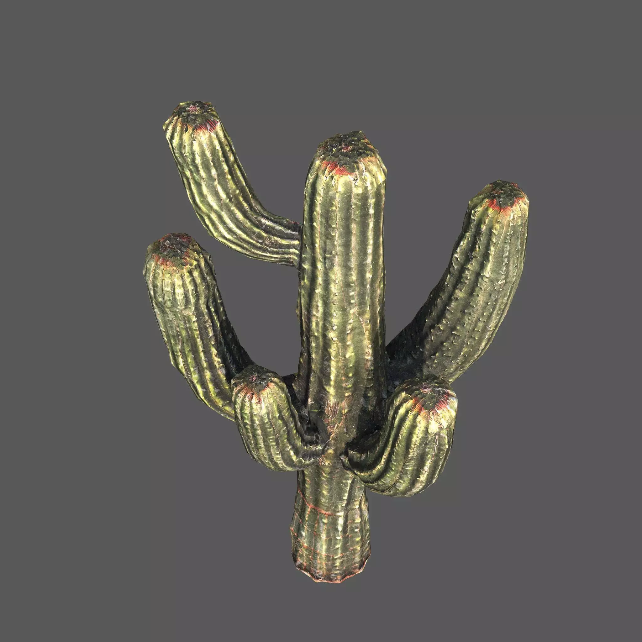 Desert Sentinel  Realistic Low Poly Cactus 4K PBR Textures  Low-poly 3D model_2