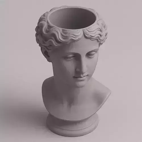 Greek Head Planter Bust   3D Printable Decorative Vase