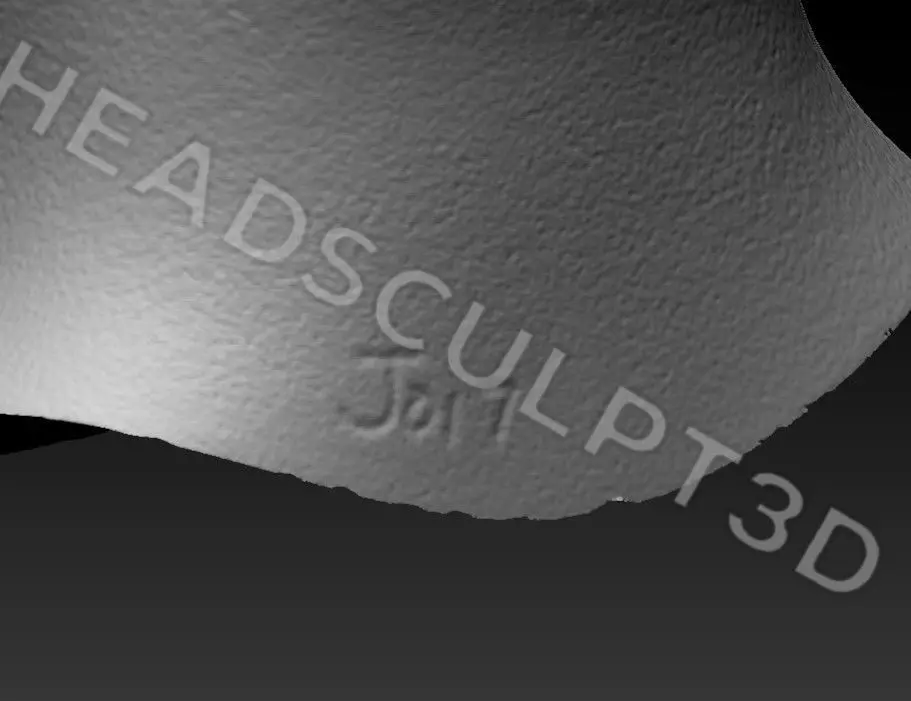 Ana de Armas Lifecast 3D Head Likeness Blade Runner JOI  3D model_16