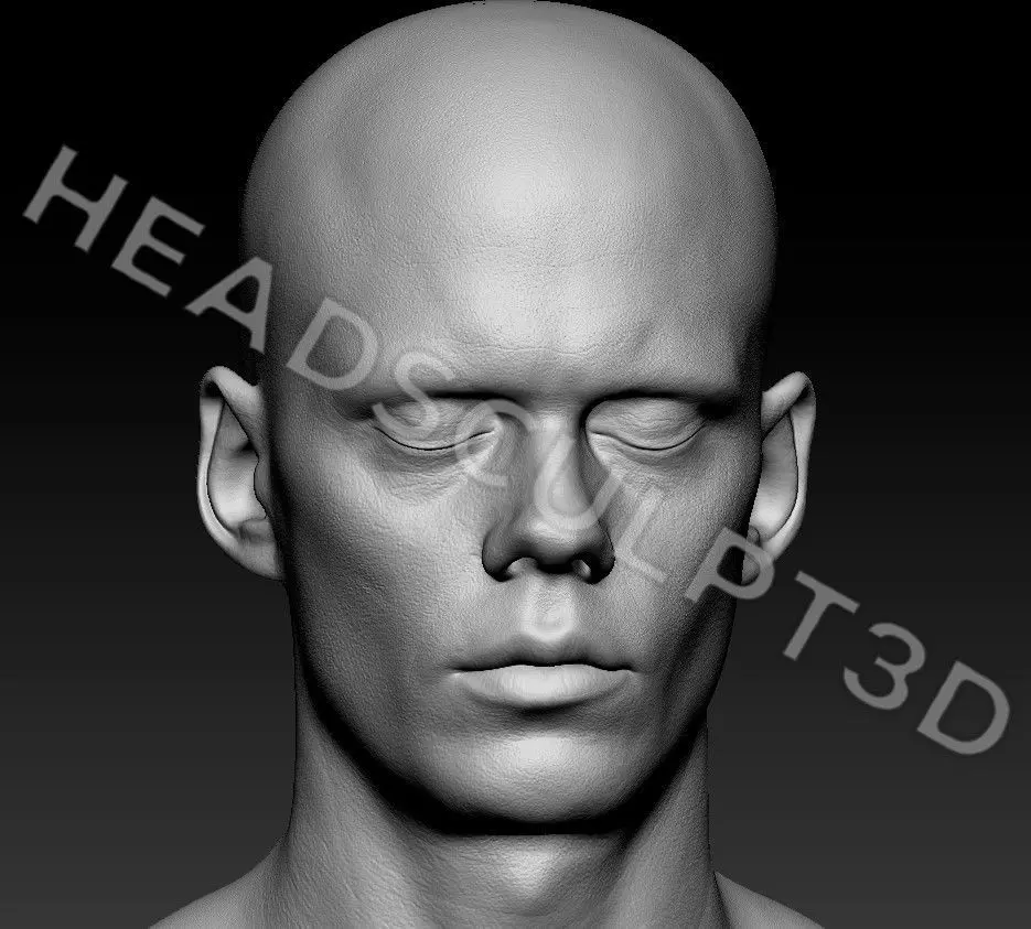 Bill Skarsgard Lifecast 3D Head Likeness IT Pennywise Nosferatu 3D model_2