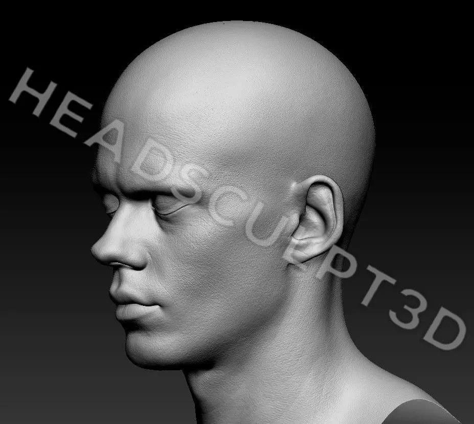 Bill Skarsgard Lifecast 3D Head Likeness IT Pennywise Nosferatu 3D model_6