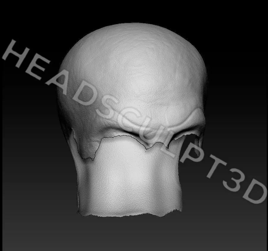 Bill Skarsgard Lifecast 3D Head Likeness IT Pennywise Nosferatu 3D model_9