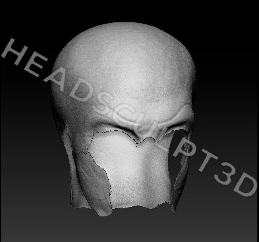 Bill Skarsgard Lifecast 3D Head Likeness IT Pennywise Nosferatu 3D model_10