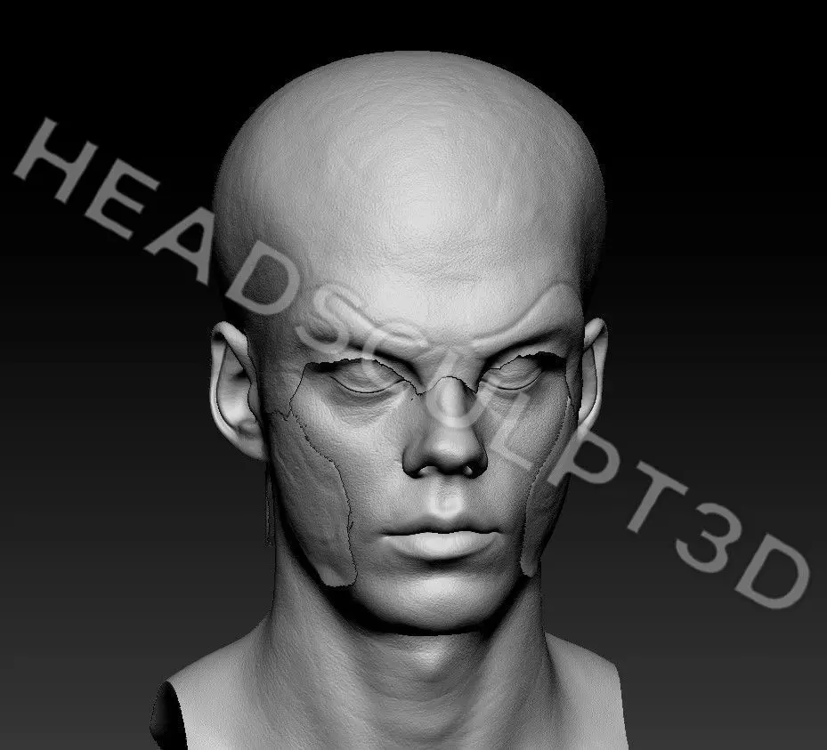 Bill Skarsgard Lifecast 3D Head Likeness IT Pennywise Nosferatu 3D model_7
