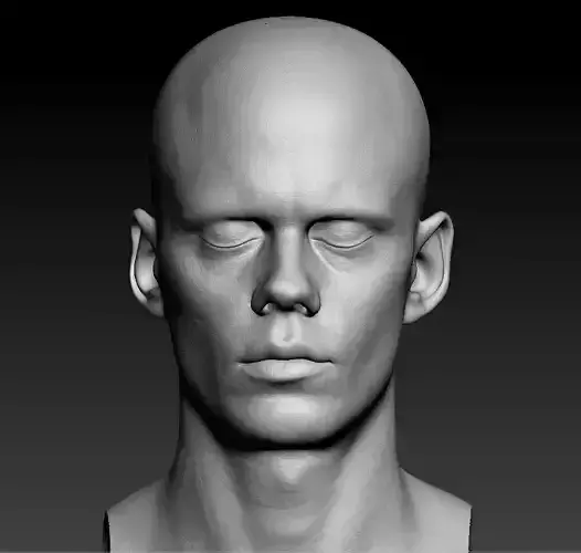 Bill Skarsgard Lifecast 3D Head Likeness IT Pennywise Nosferatu