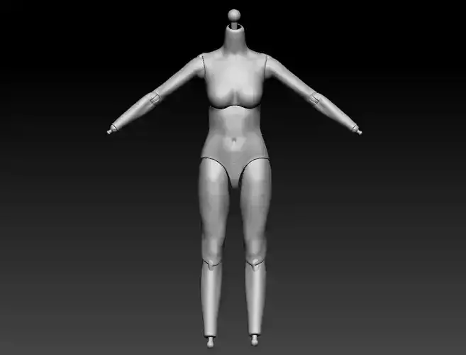 Hot Toys Harley Quinn Female Body Sixth Scale Figure 3D Scan