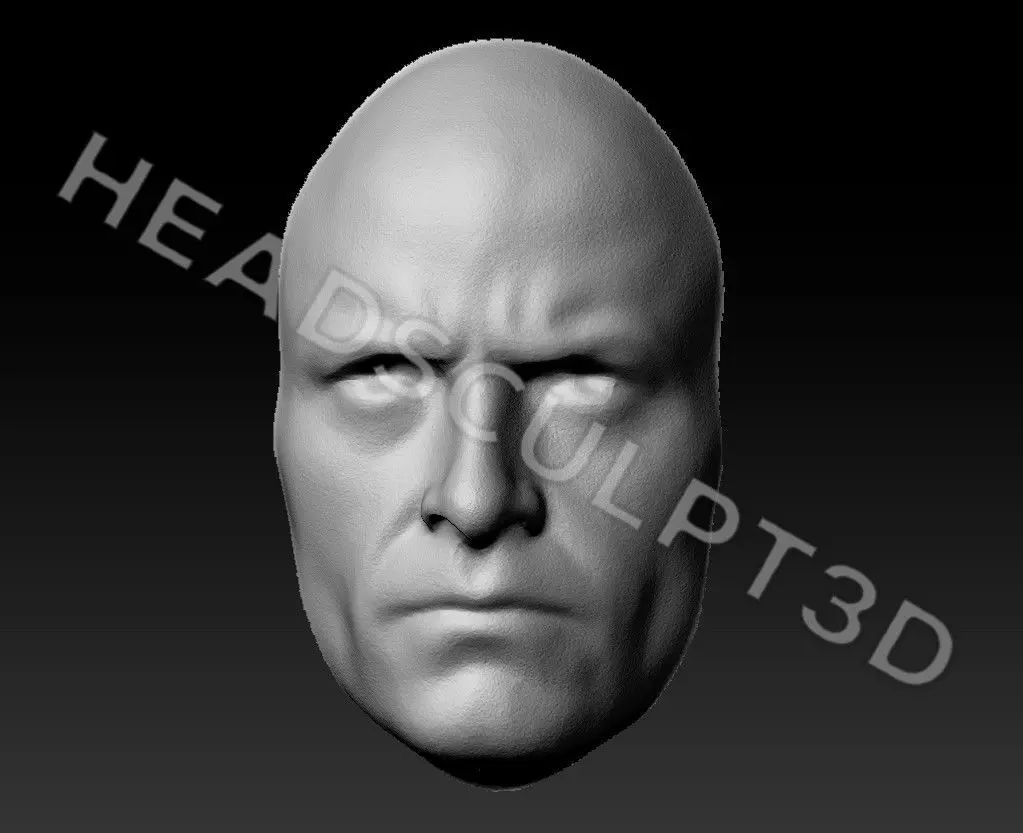 Hugh Jackman Lifecast 3D Head Likeness Wolverine Logan XMen 3D model_1