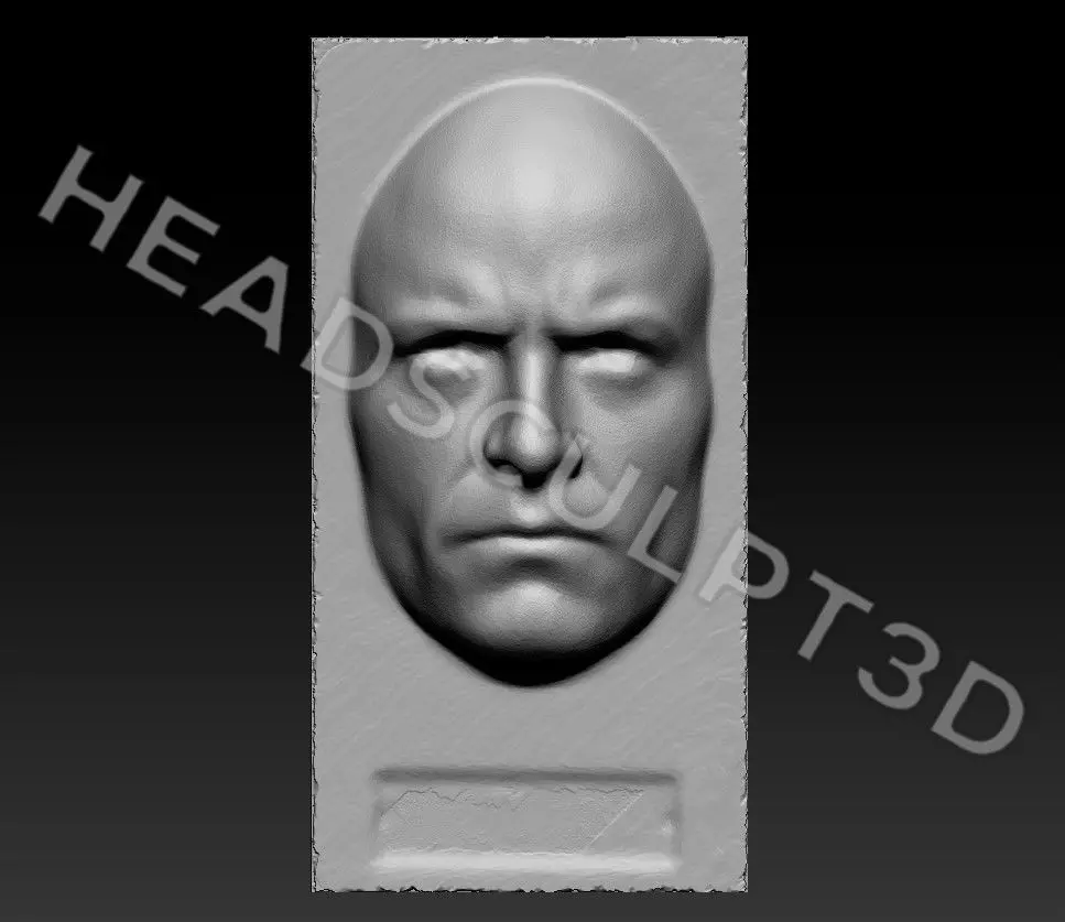 Hugh Jackman Lifecast 3D Head Likeness Wolverine Logan XMen 3D model_3