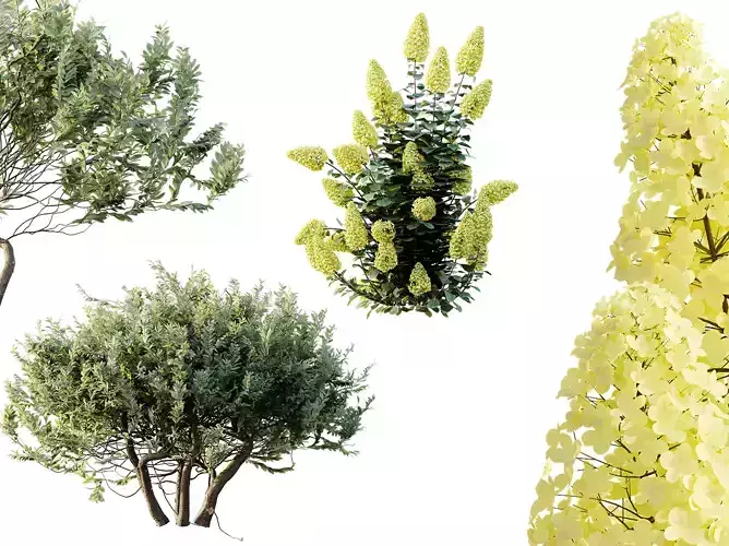 AV 7 different spring bushes