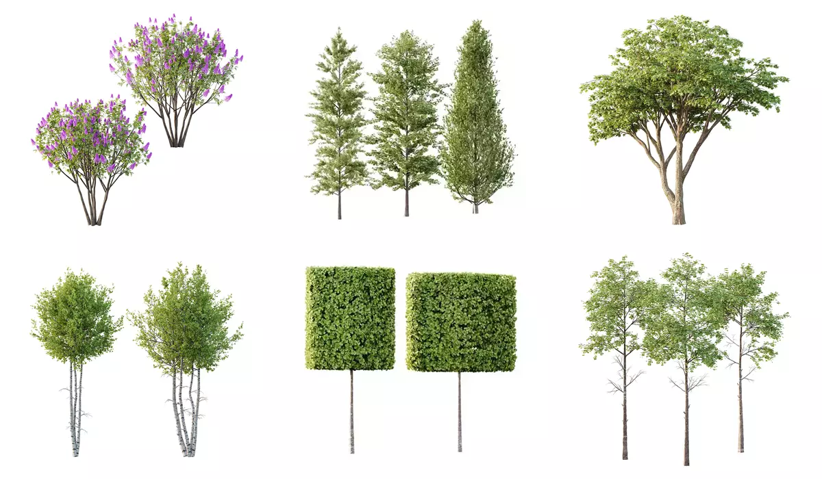 Excellent collection of Tree plants 13 Different Models 0018 _0