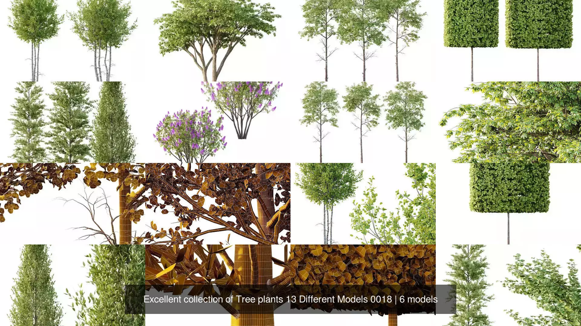 Excellent collection of Tree plants 13 Different Models 0018 _1