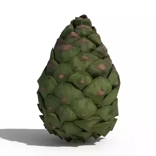 Green Pine Cone