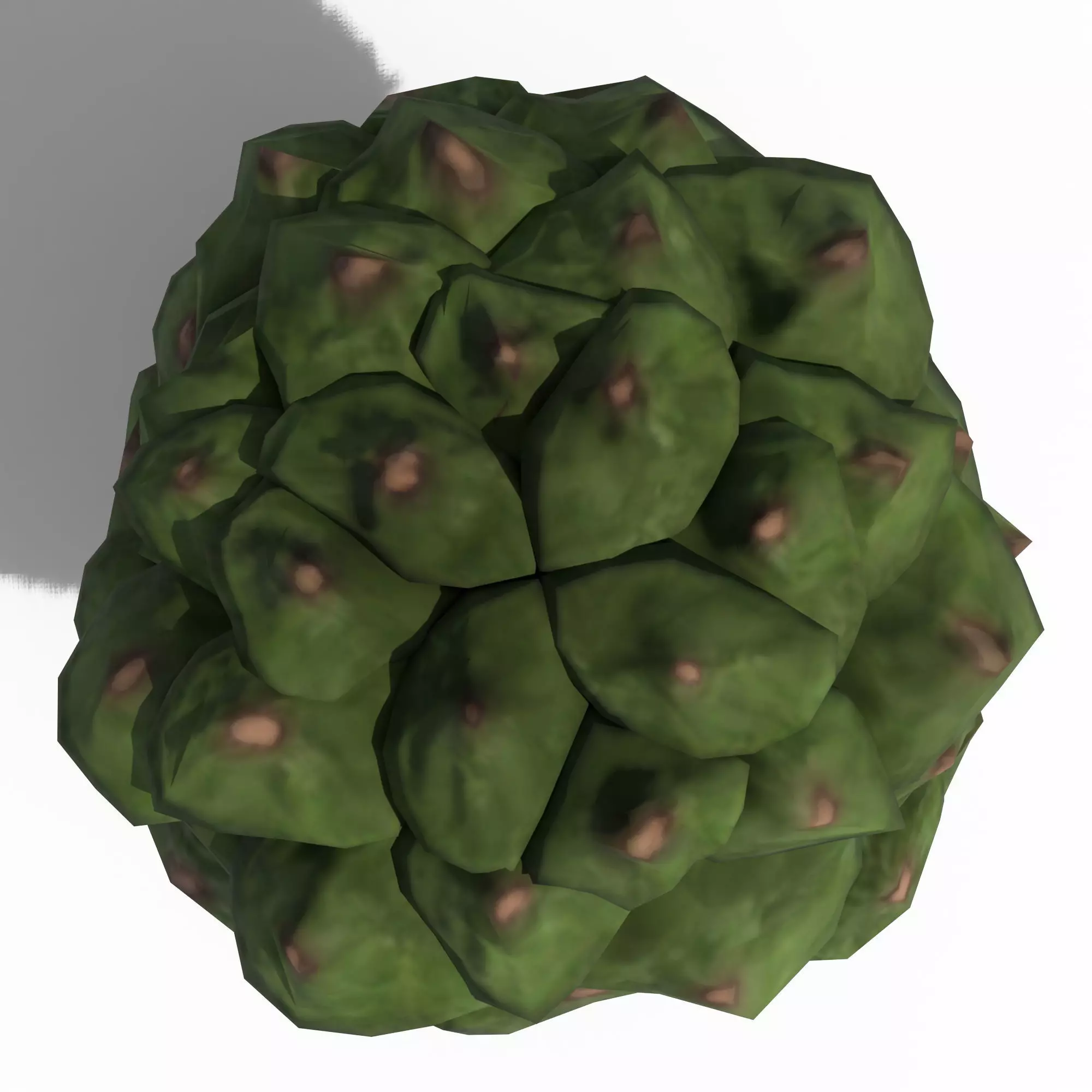 Green Pine Cone Low-poly 3D model_9