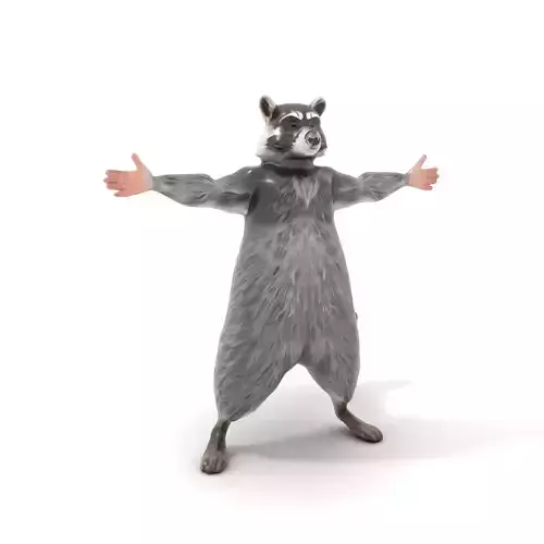 Grey Raccoon Fur model pack Low-poly 3D model