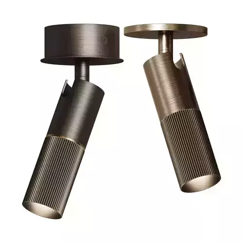 Venicem Beak Celing Light