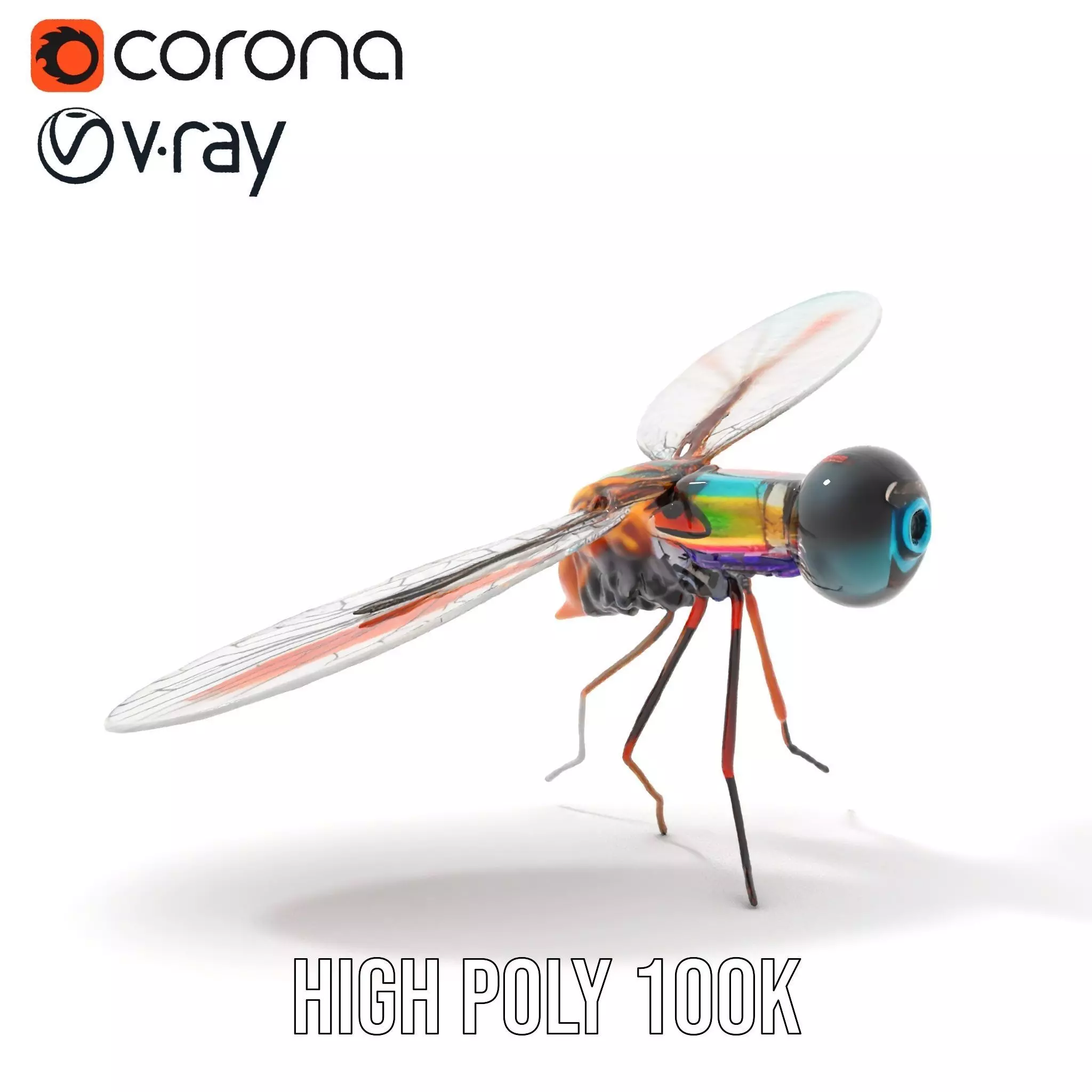 Colorful Dragonfly model pack Low-poly 3D model_16