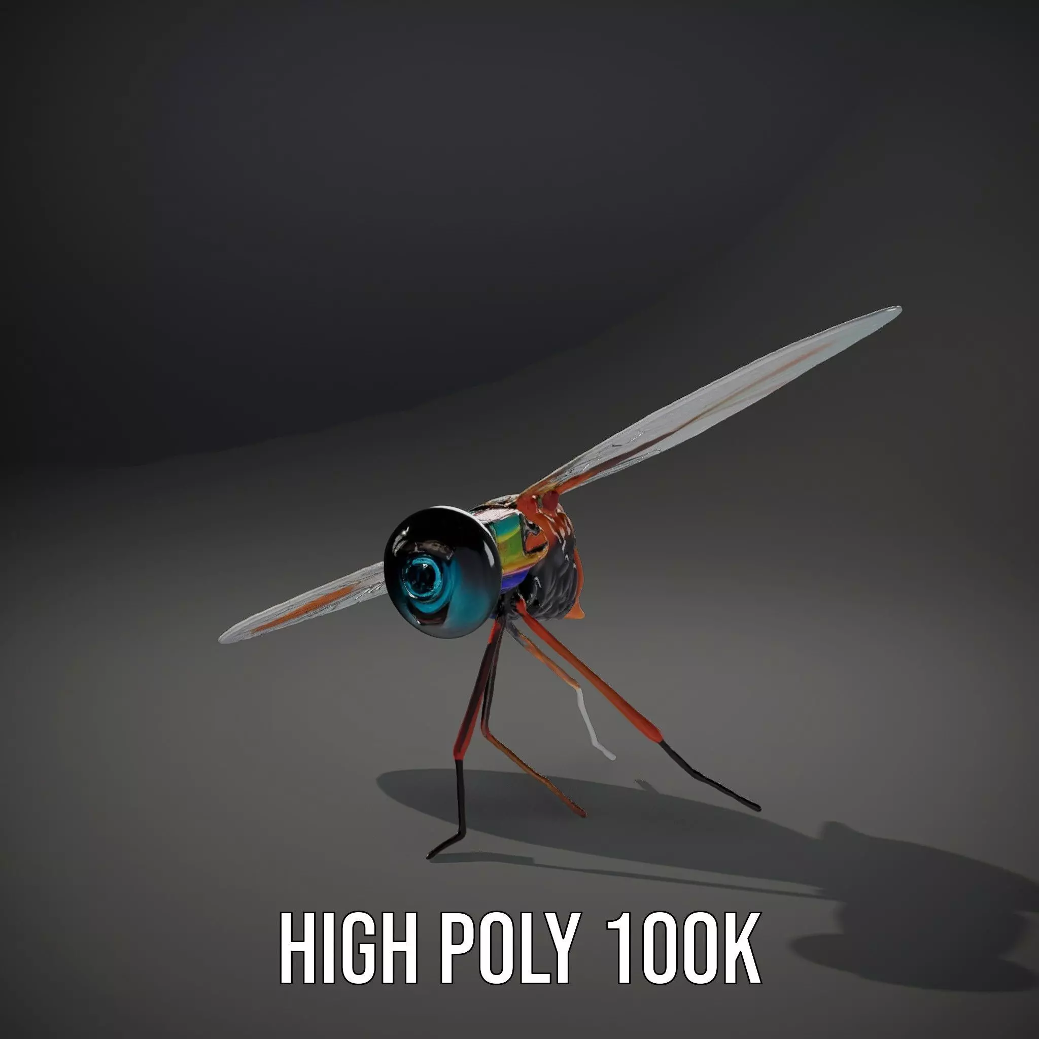 Colorful Dragonfly model pack Low-poly 3D model_9