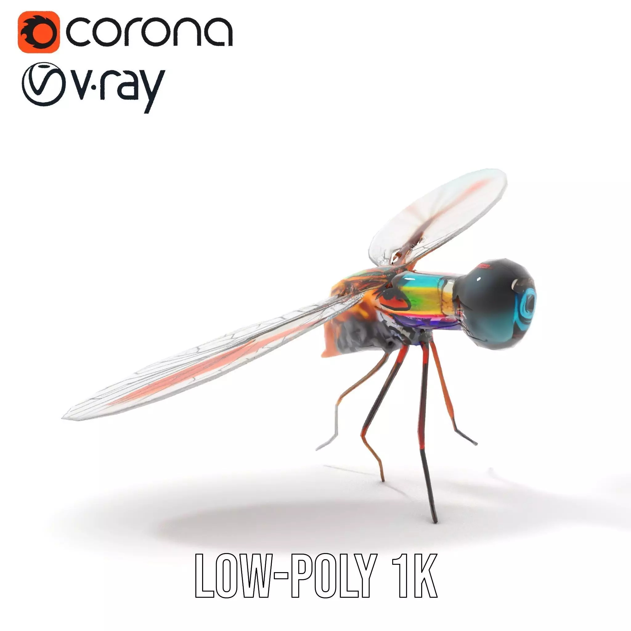 Colorful Dragonfly model pack Low-poly 3D model_13