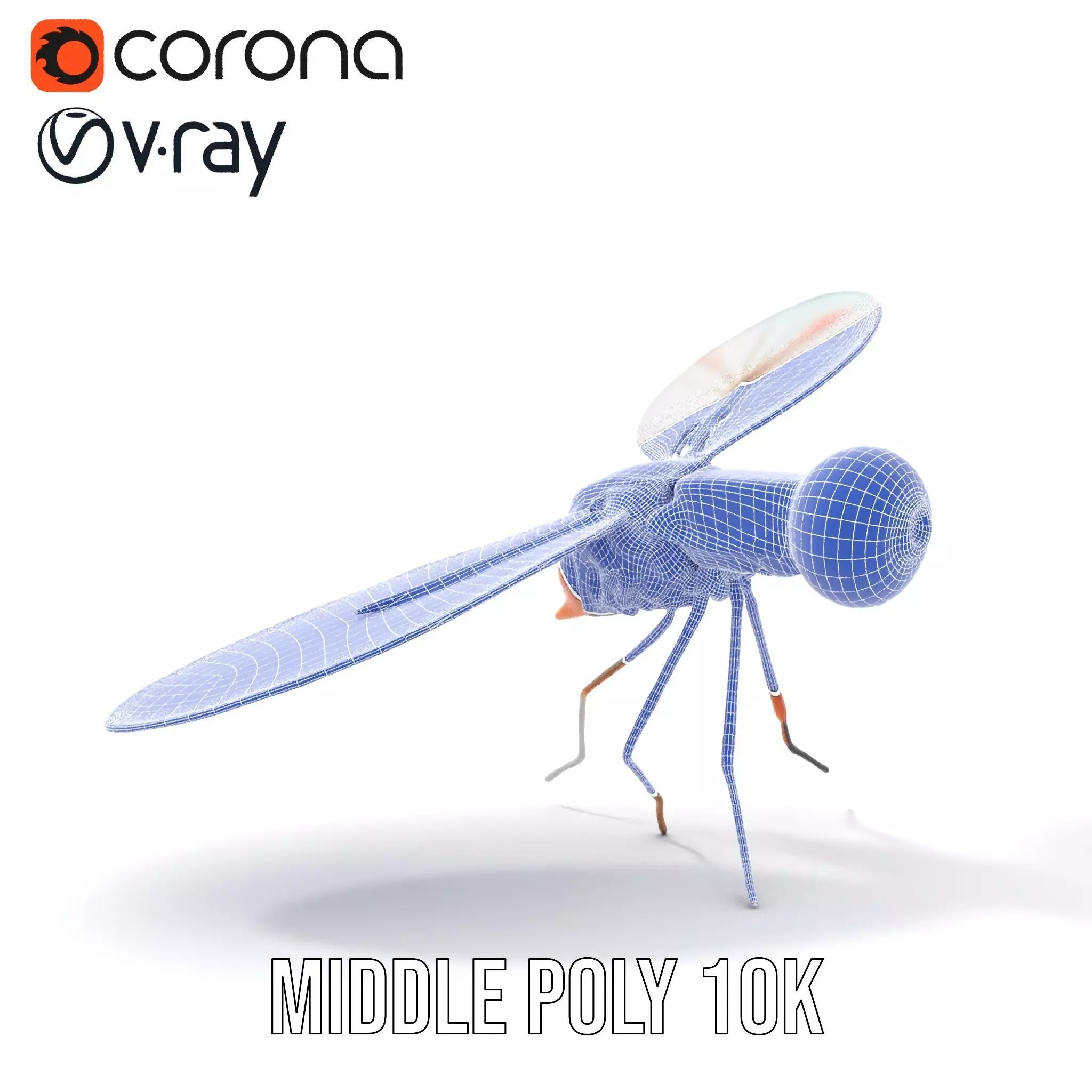 Colorful Dragonfly model pack Low-poly 3D model_17