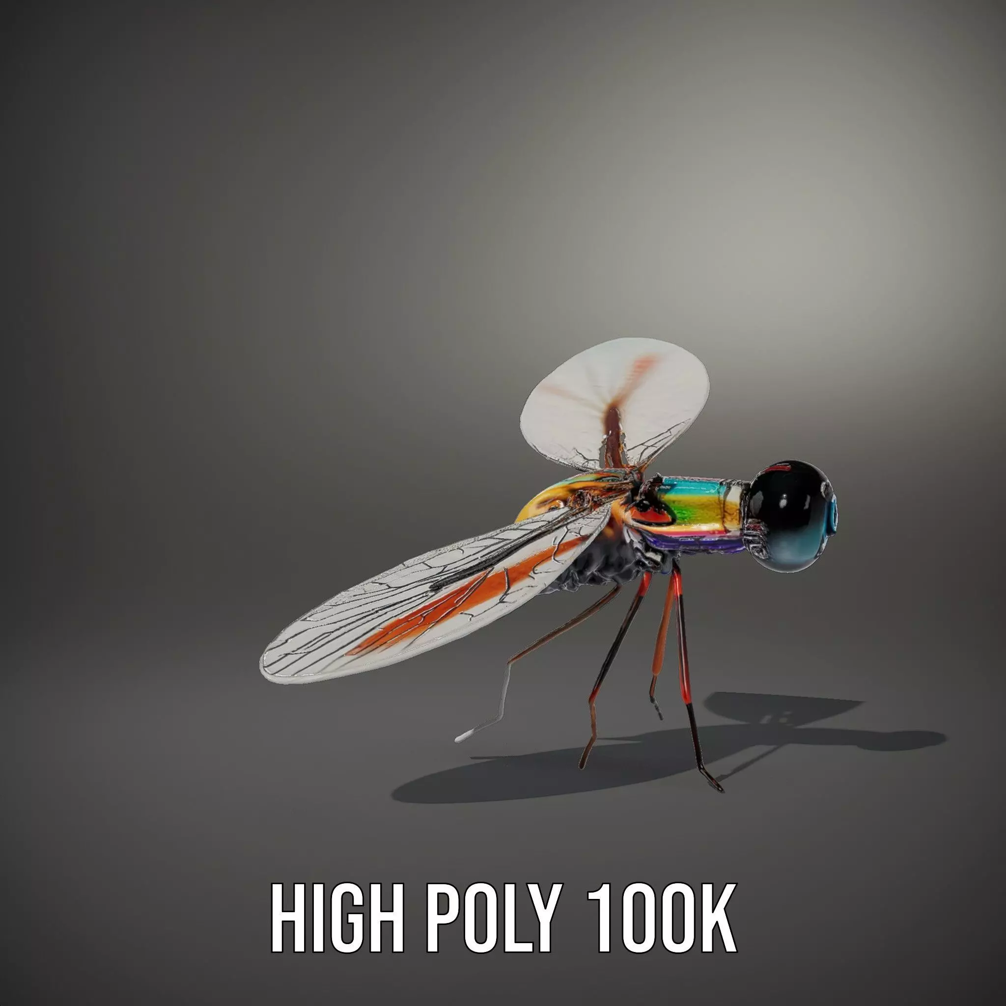 Colorful Dragonfly model pack Low-poly 3D model_11