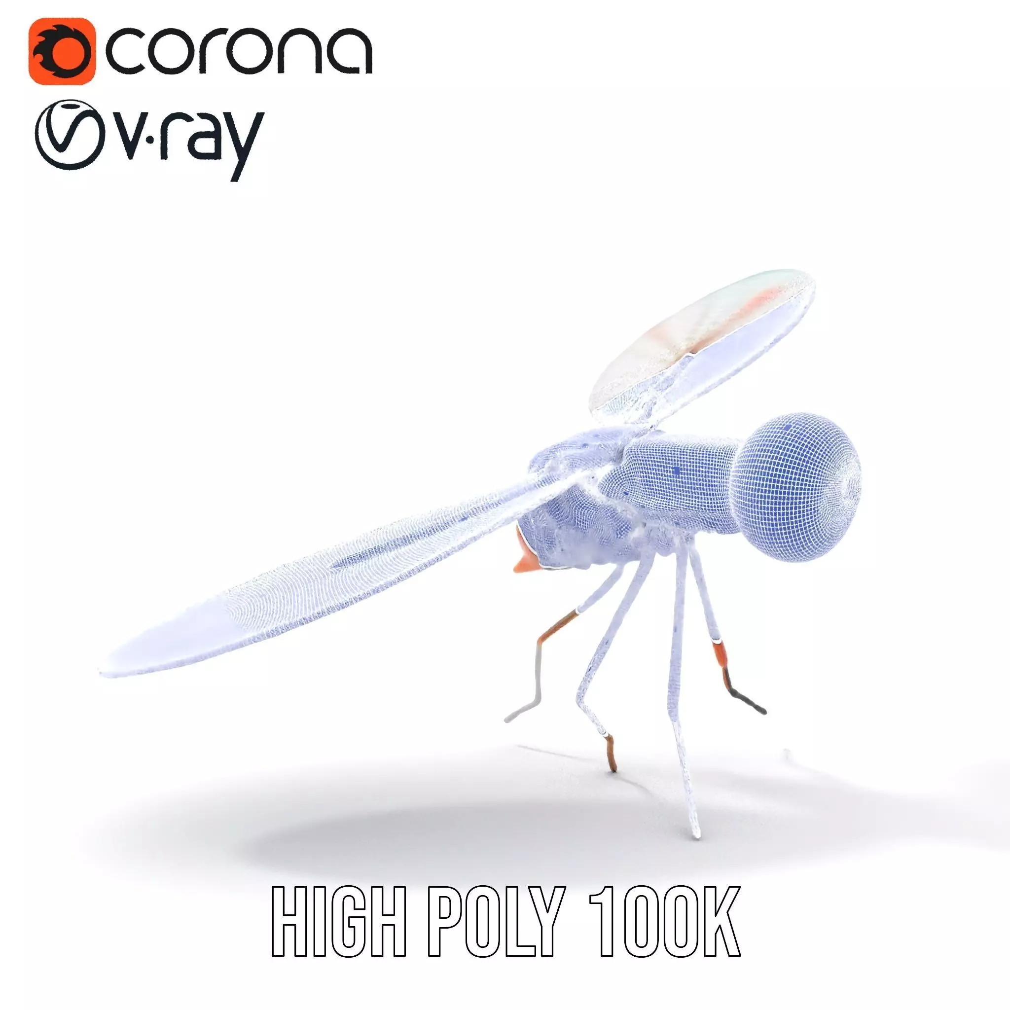 Colorful Dragonfly model pack Low-poly 3D model_34