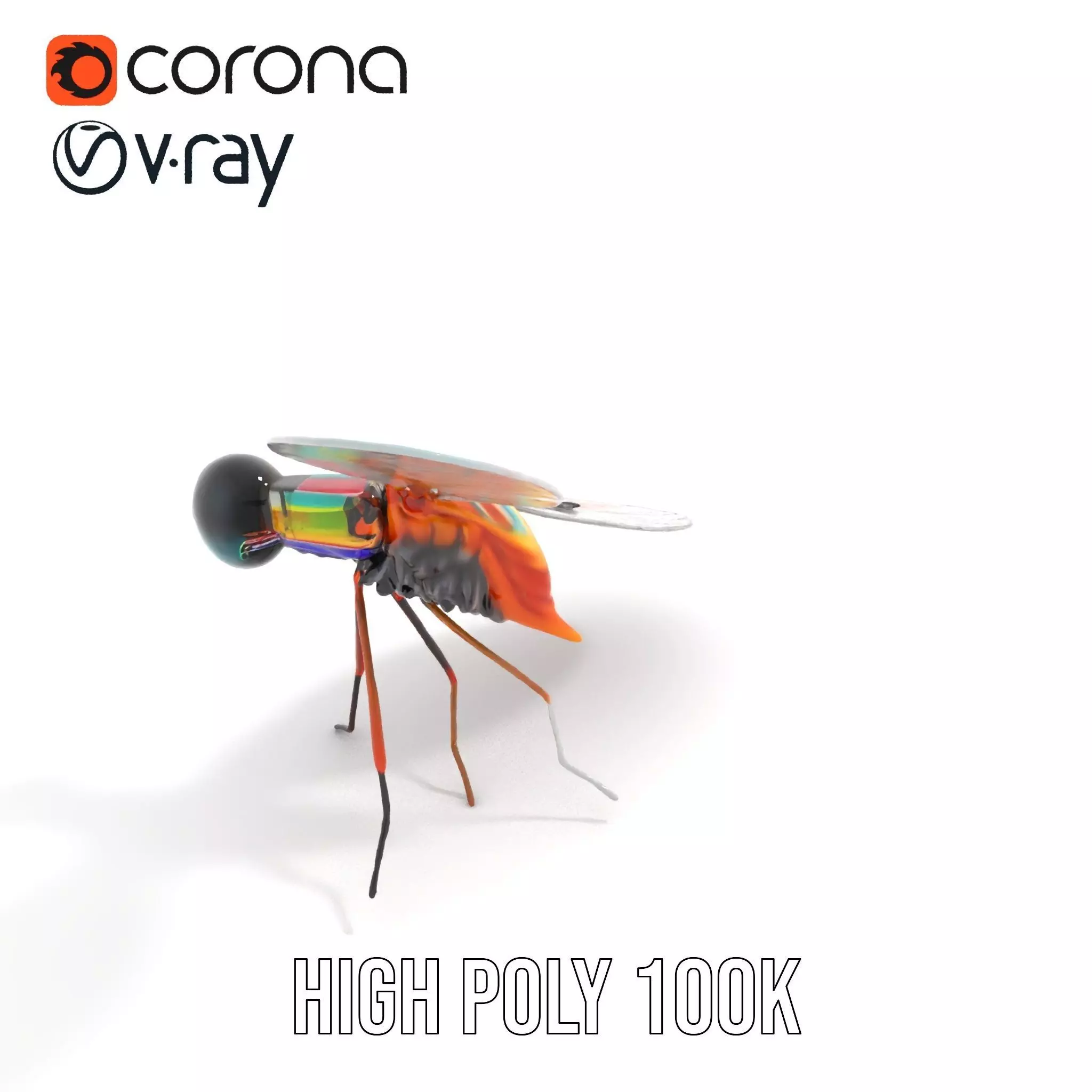 Colorful Dragonfly model pack Low-poly 3D model_22