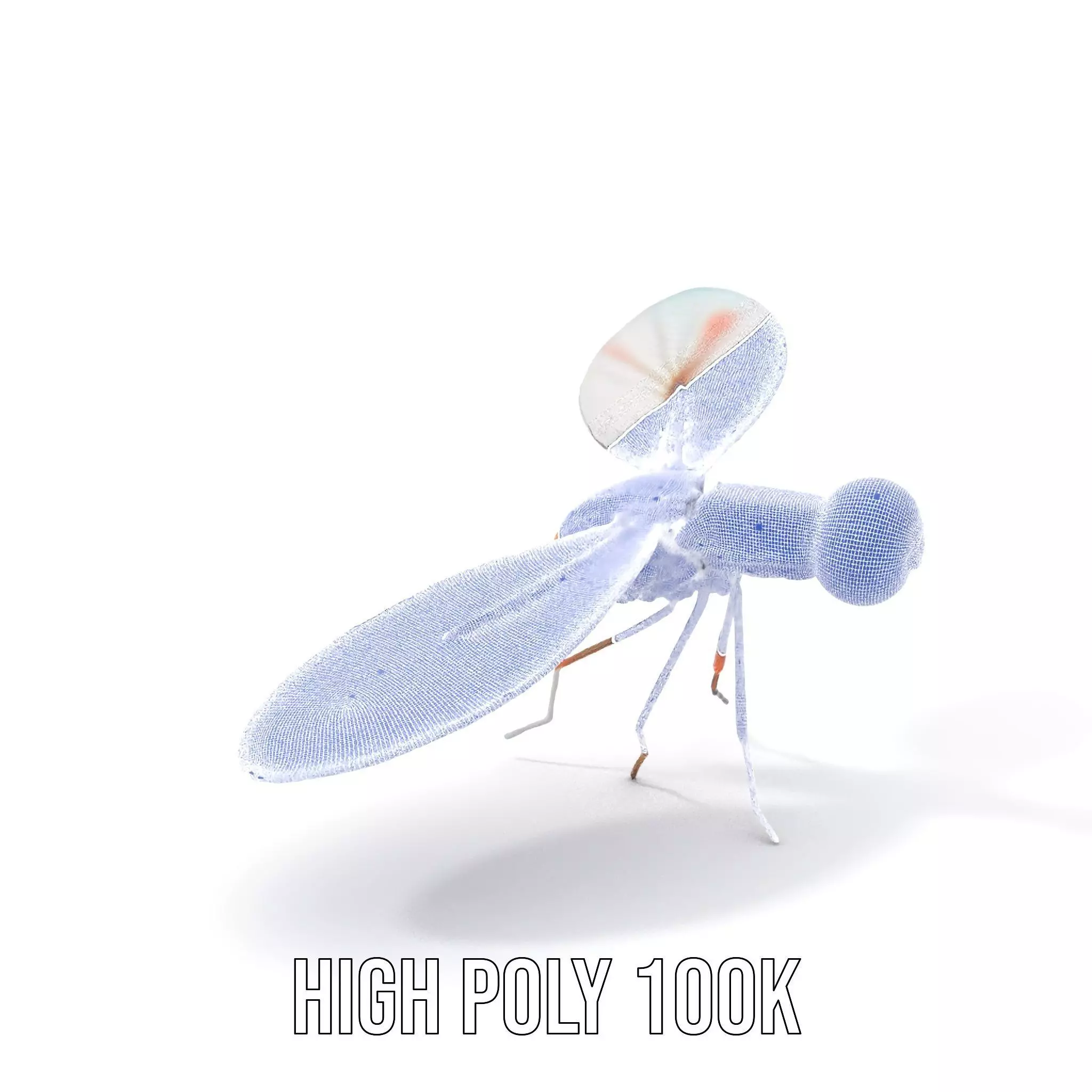 Colorful Dragonfly model pack Low-poly 3D model_5
