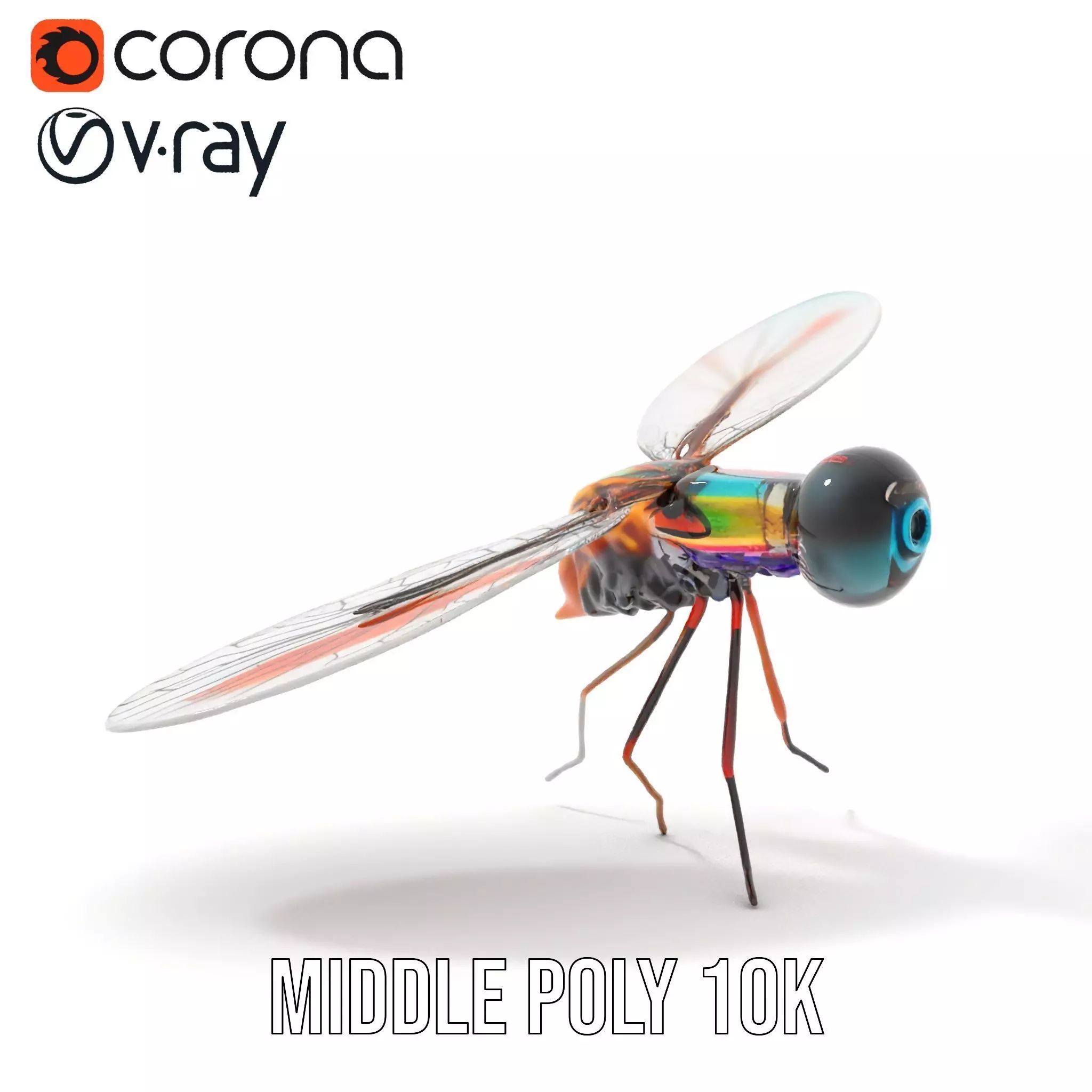 Colorful Dragonfly model pack Low-poly 3D model_23