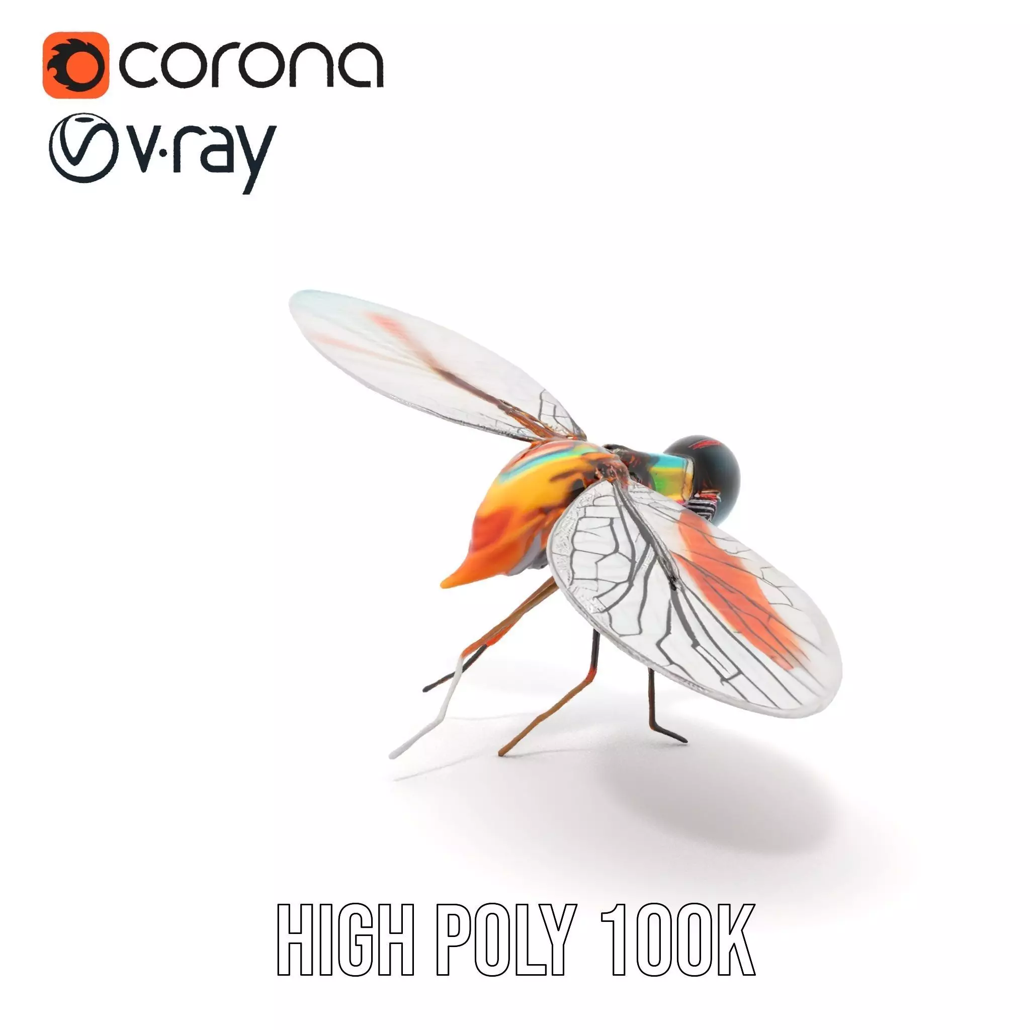 Colorful Dragonfly model pack Low-poly 3D model_30