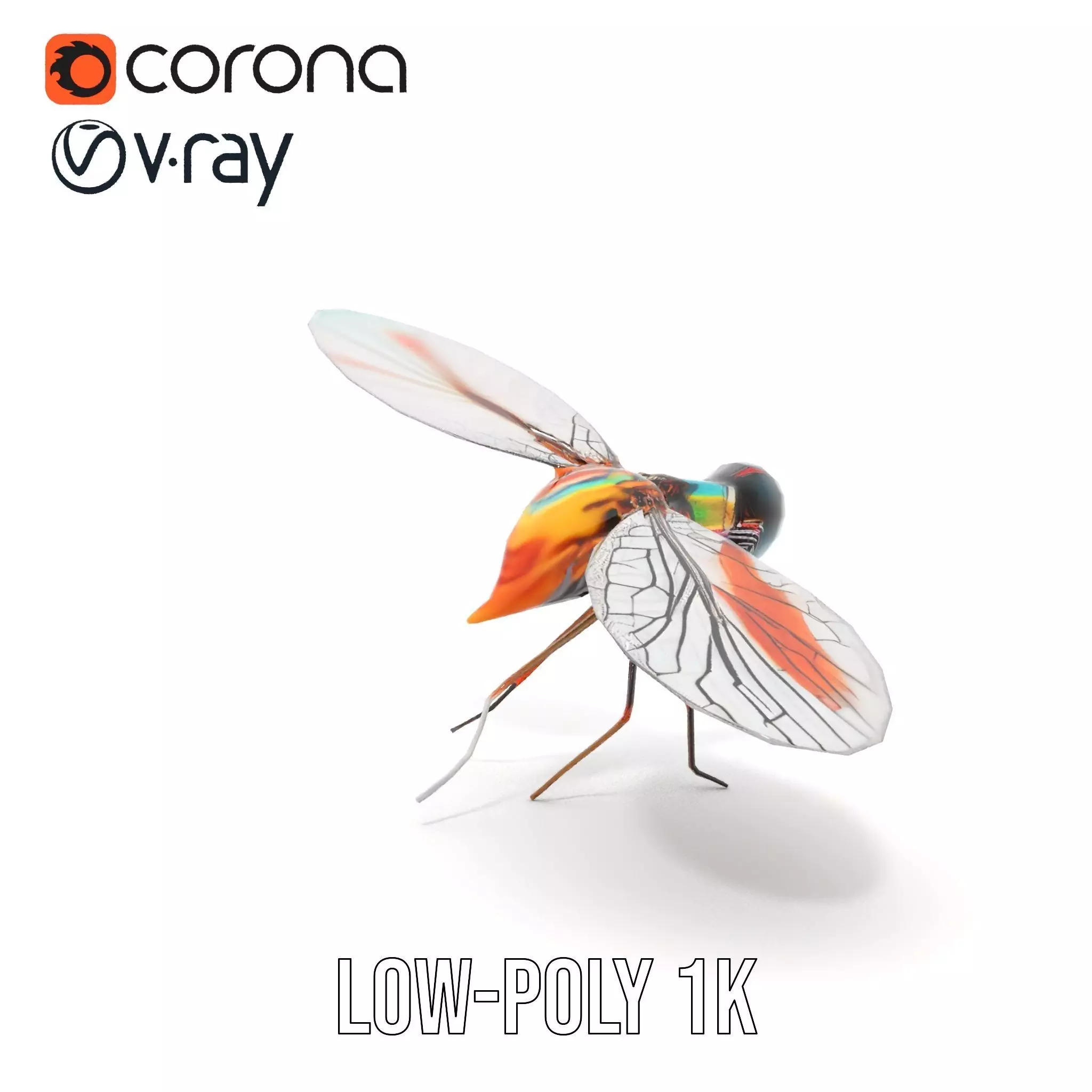 Colorful Dragonfly model pack Low-poly 3D model_24