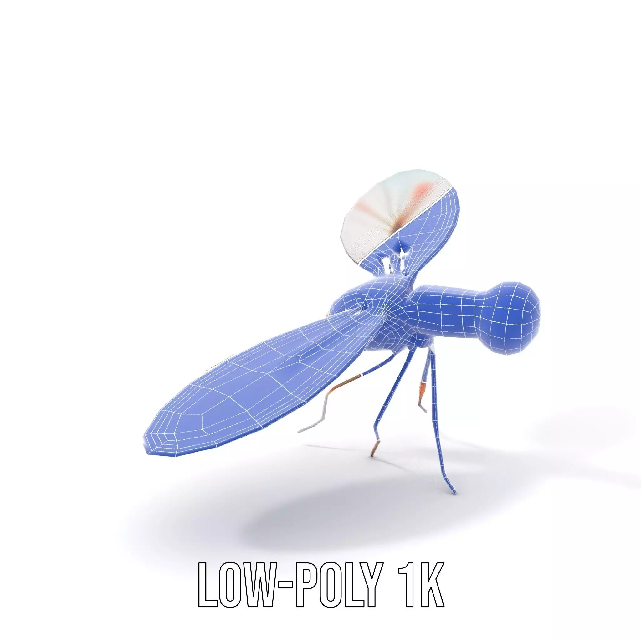 Colorful Dragonfly model pack Low-poly 3D model_21