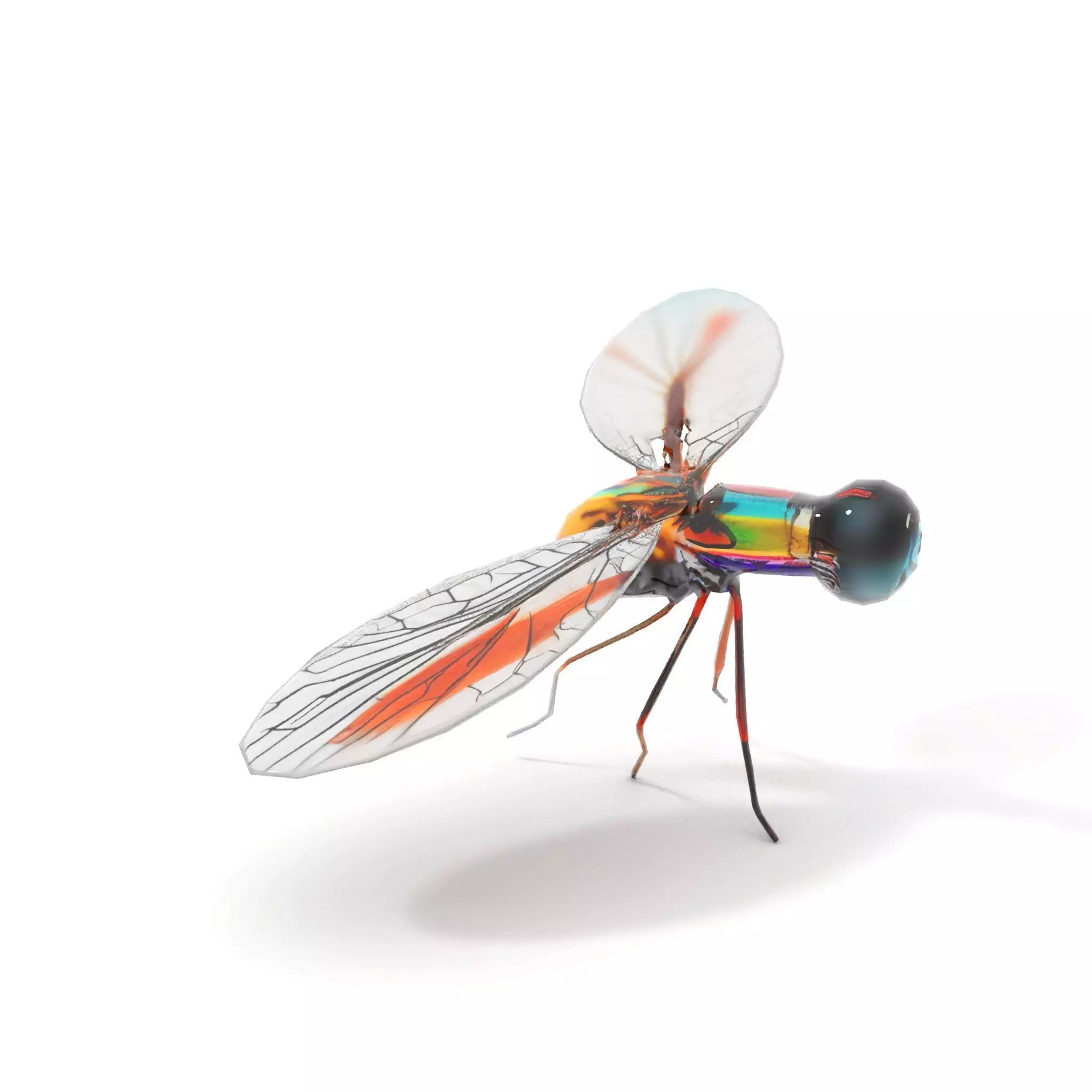 Colorful Dragonfly model pack Low-poly 3D model_15