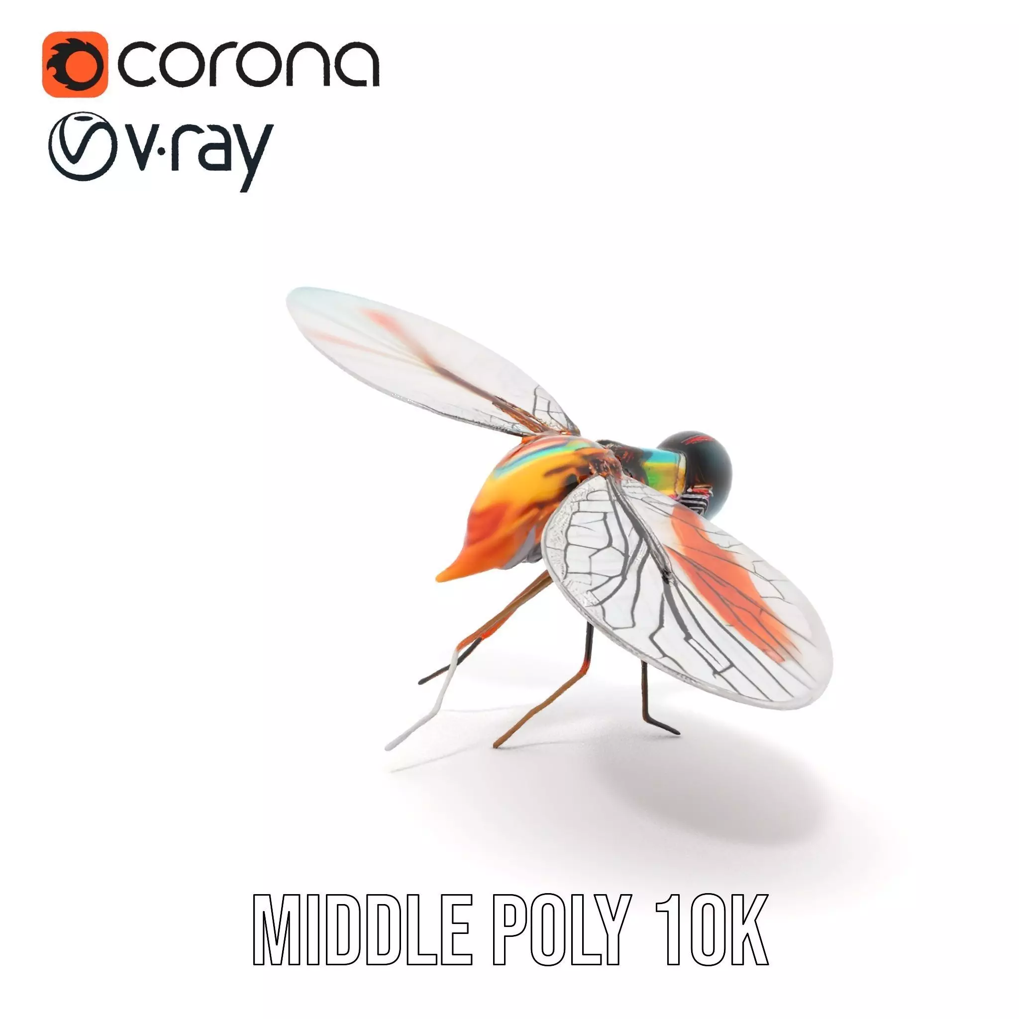 Colorful Dragonfly model pack Low-poly 3D model_14